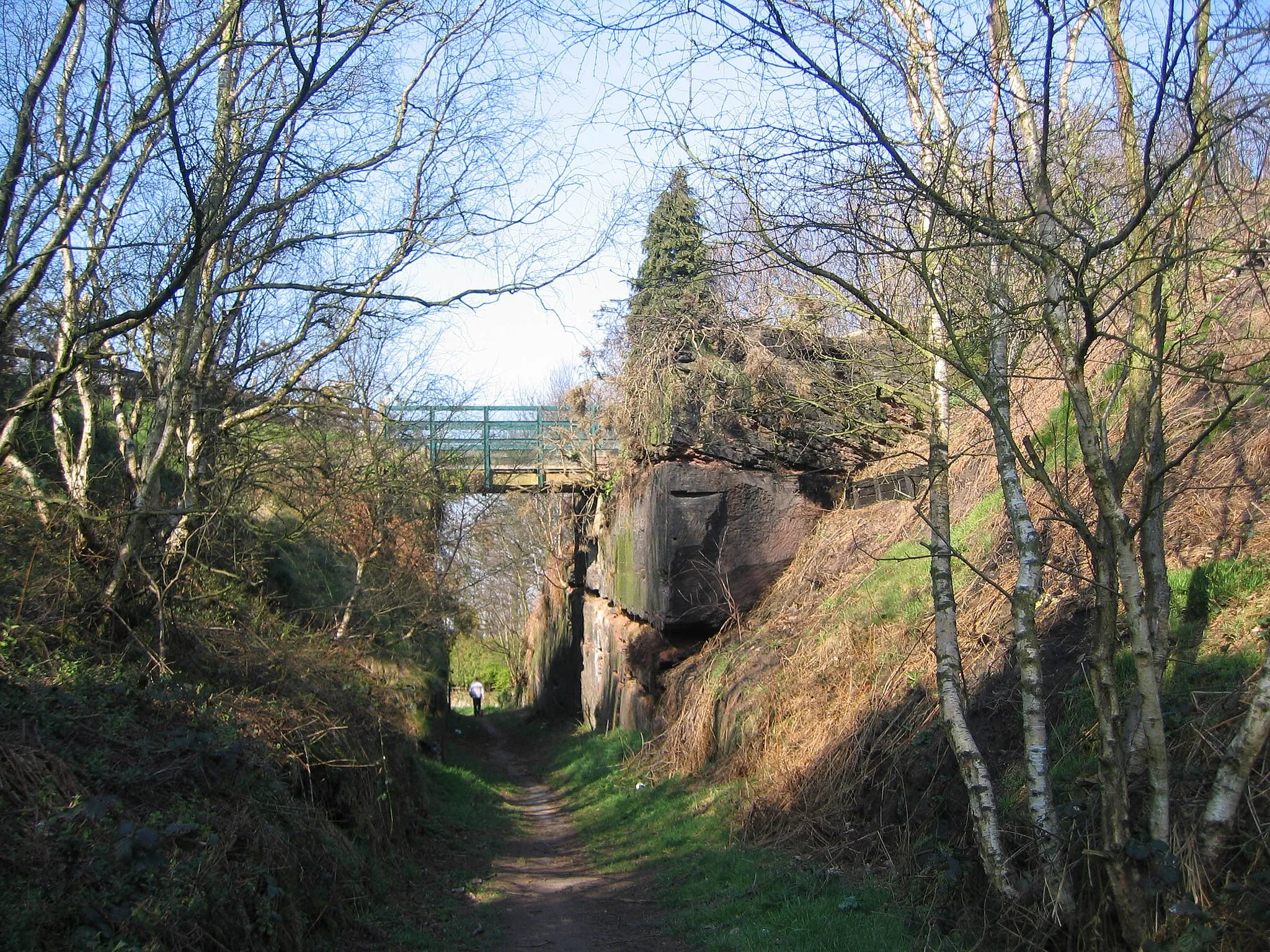 Photo showing: Runcorn Hill