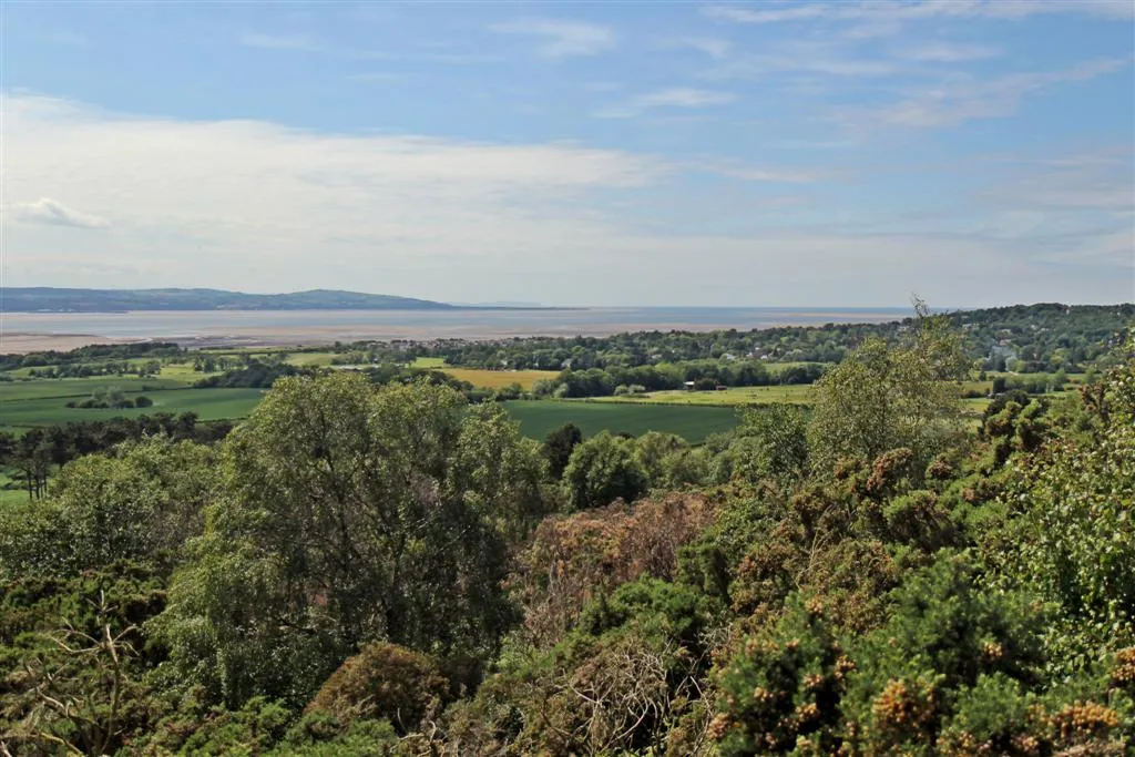 Photo showing: Beyond the gorse, Thurstaston Hill