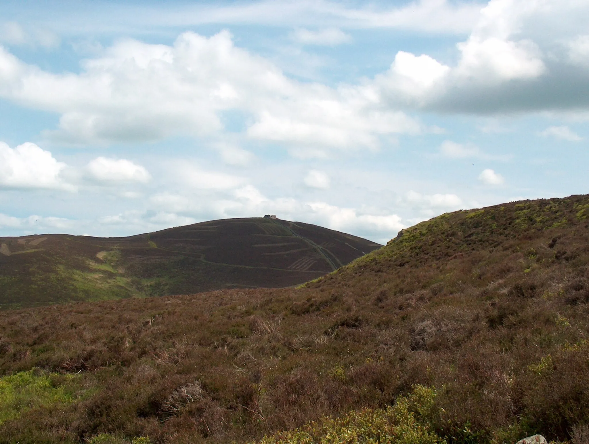 Photo showing: Heathery hillside Moel Famau towers behind.