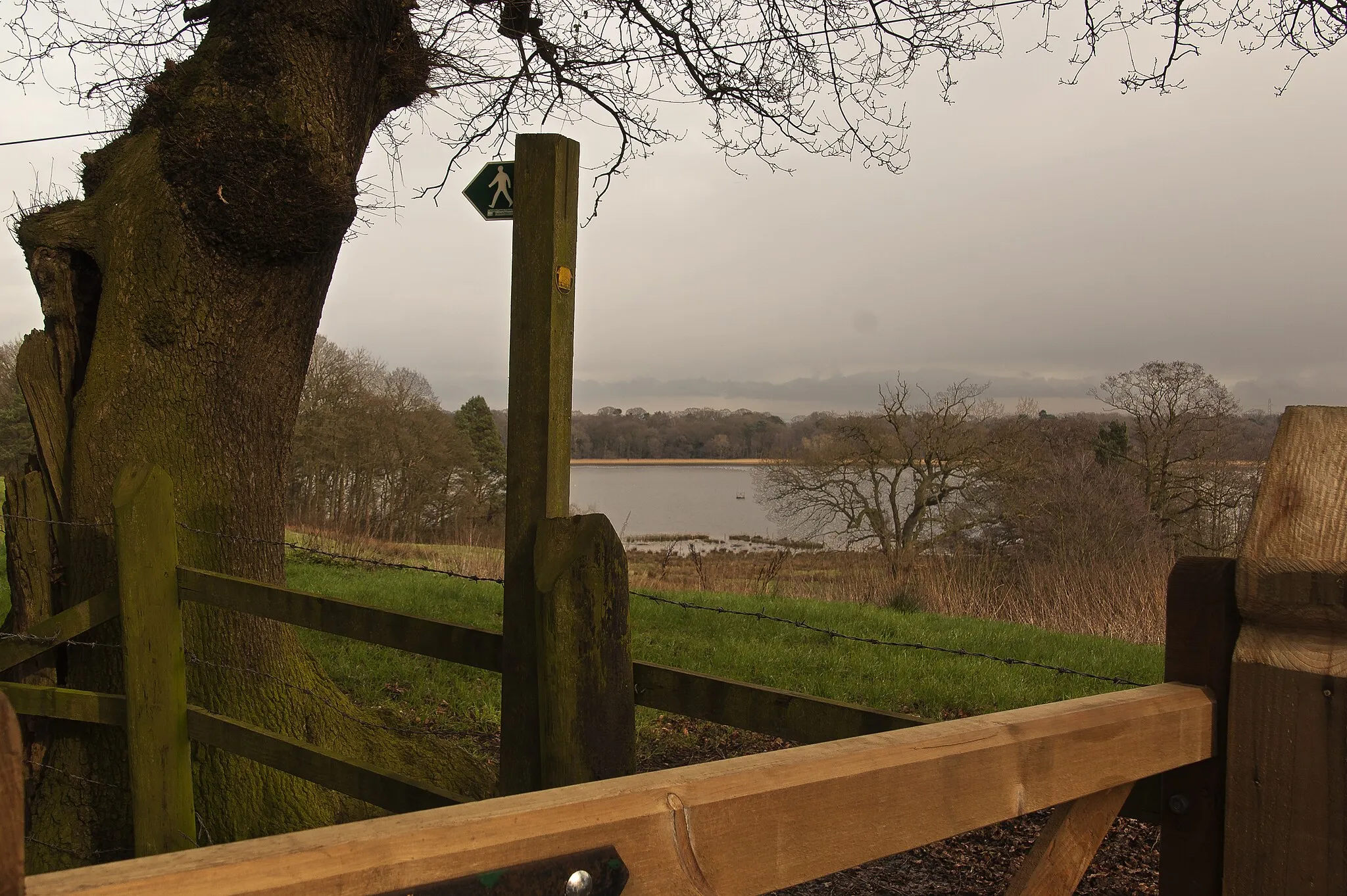 Photo showing: A path near Rostherne Mere with a view of the mere