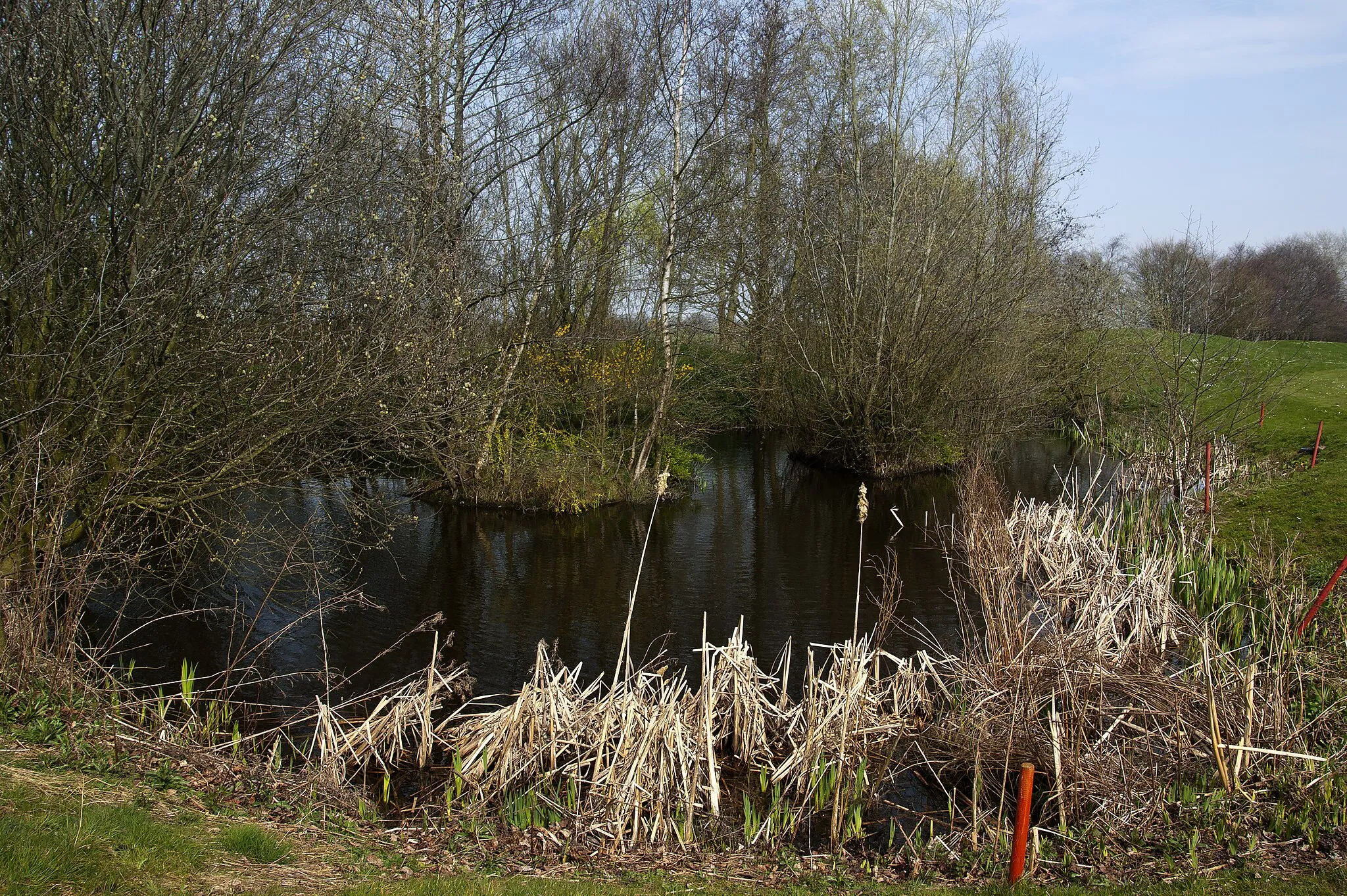 Photo showing: A water hazard on Antrobus Golf Course