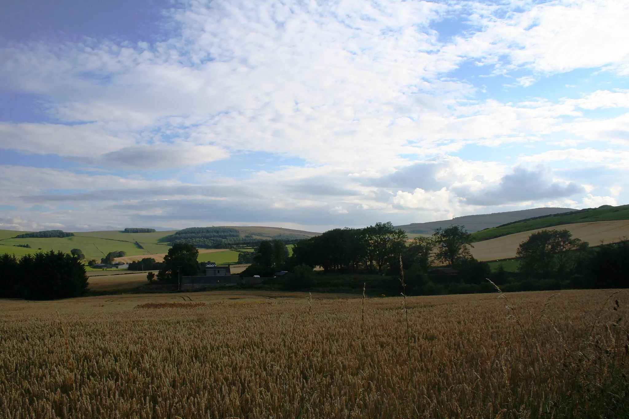 Photo showing: Looking Down on Leslie