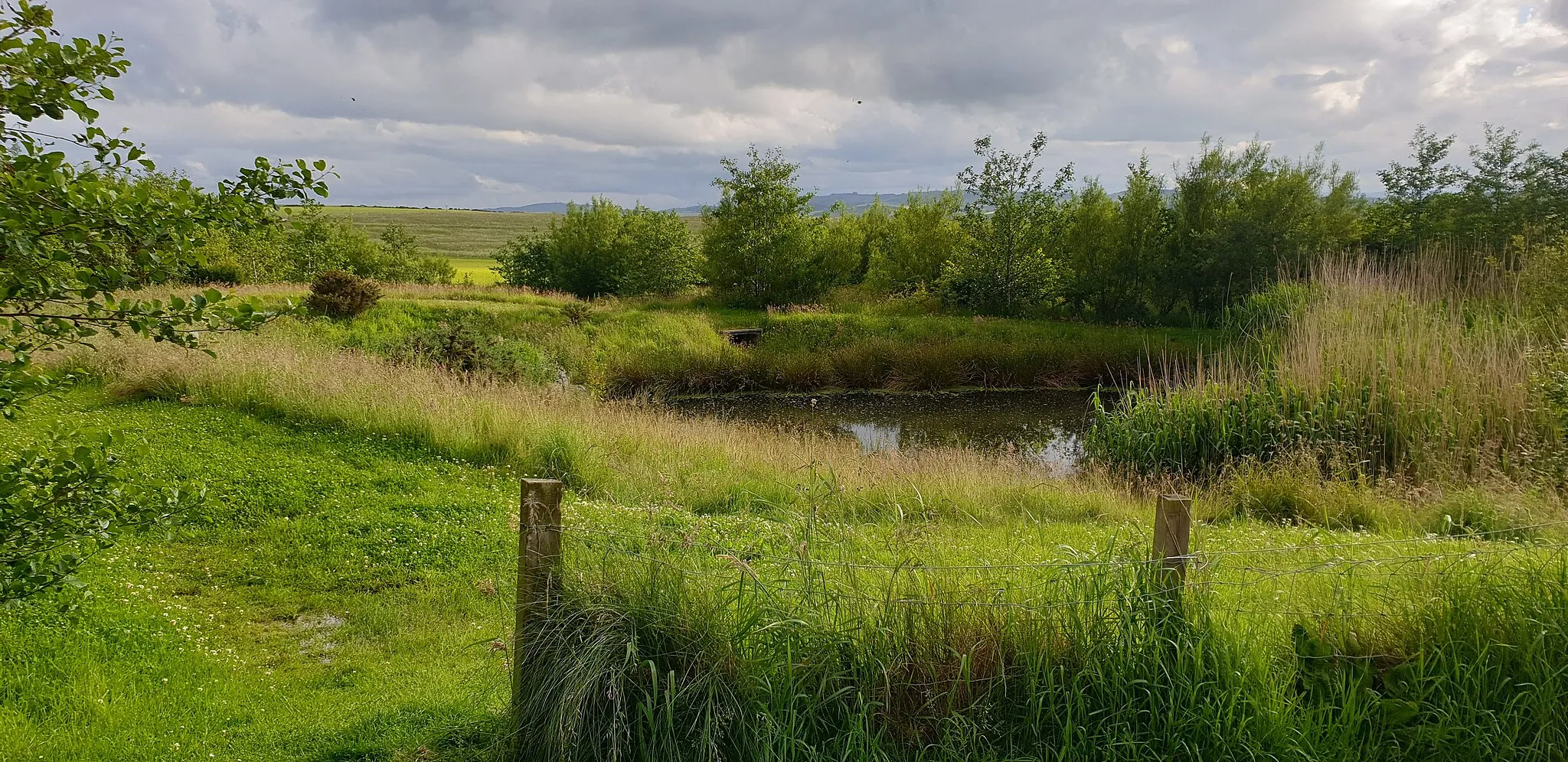 Photo showing: Kingseat Nature reserve