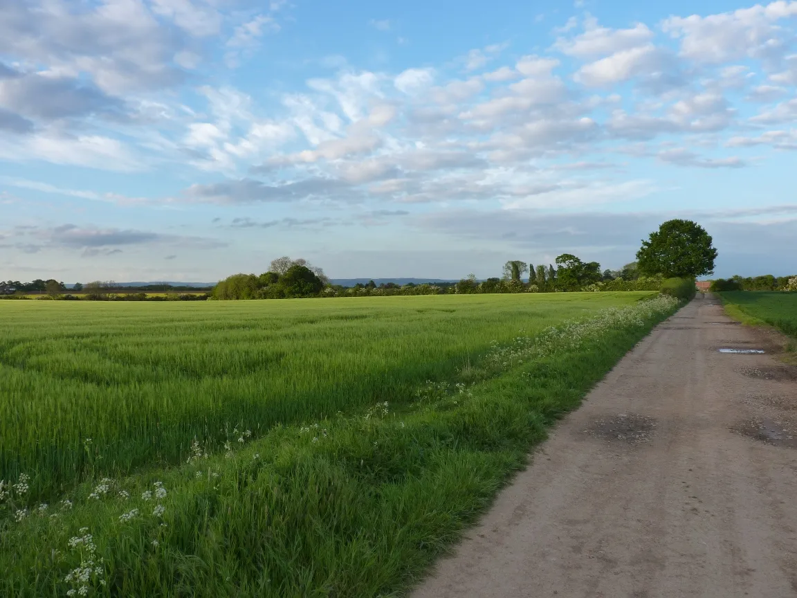 Photo showing: Thornton Manor farm track