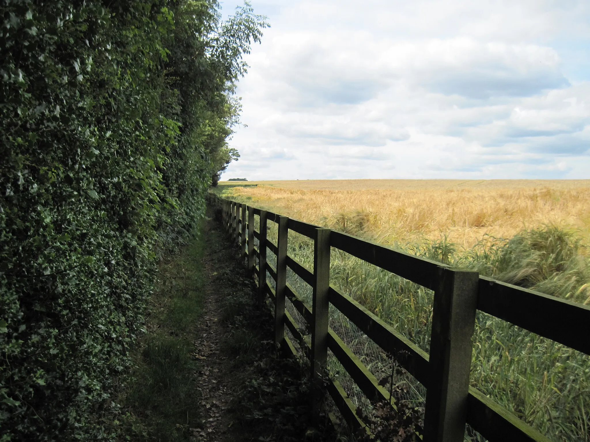 Photo showing: Don't  stray  from  the  footpath