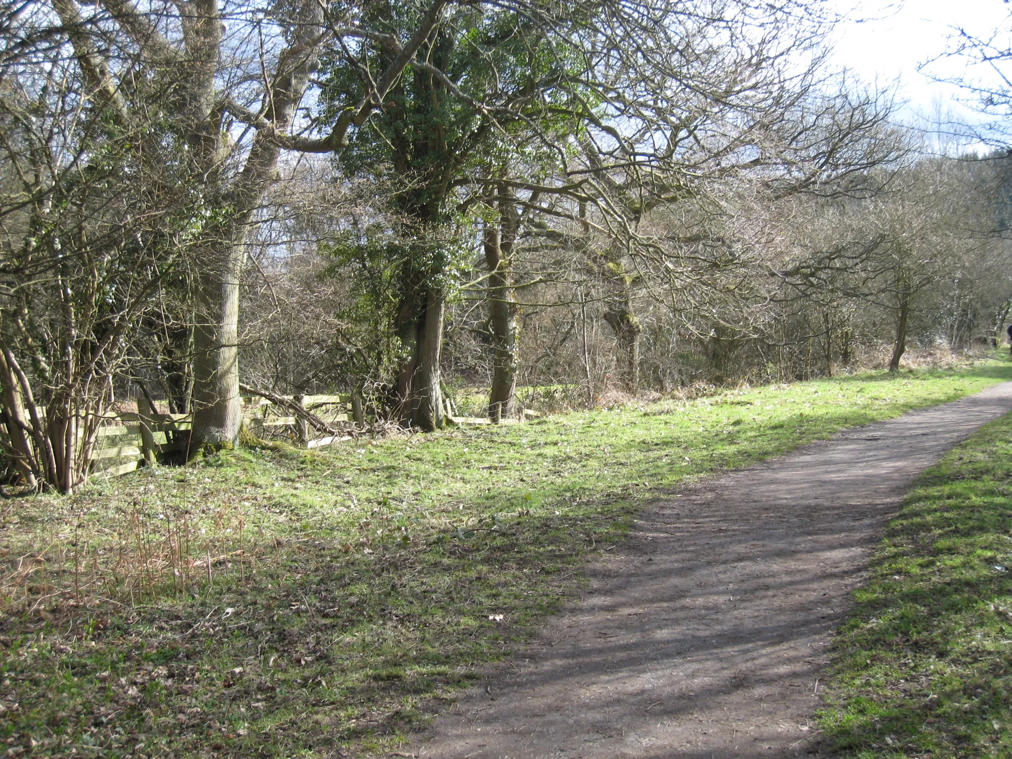 Photo showing: Grosmont-Goathland railway walkway This photograph shows a view of part of the walkway along the old railway track near Beck Hole. The walkway runs between Grosmont and Goathland. The picture was taken looking in a southerly direction towards Combs Wood.