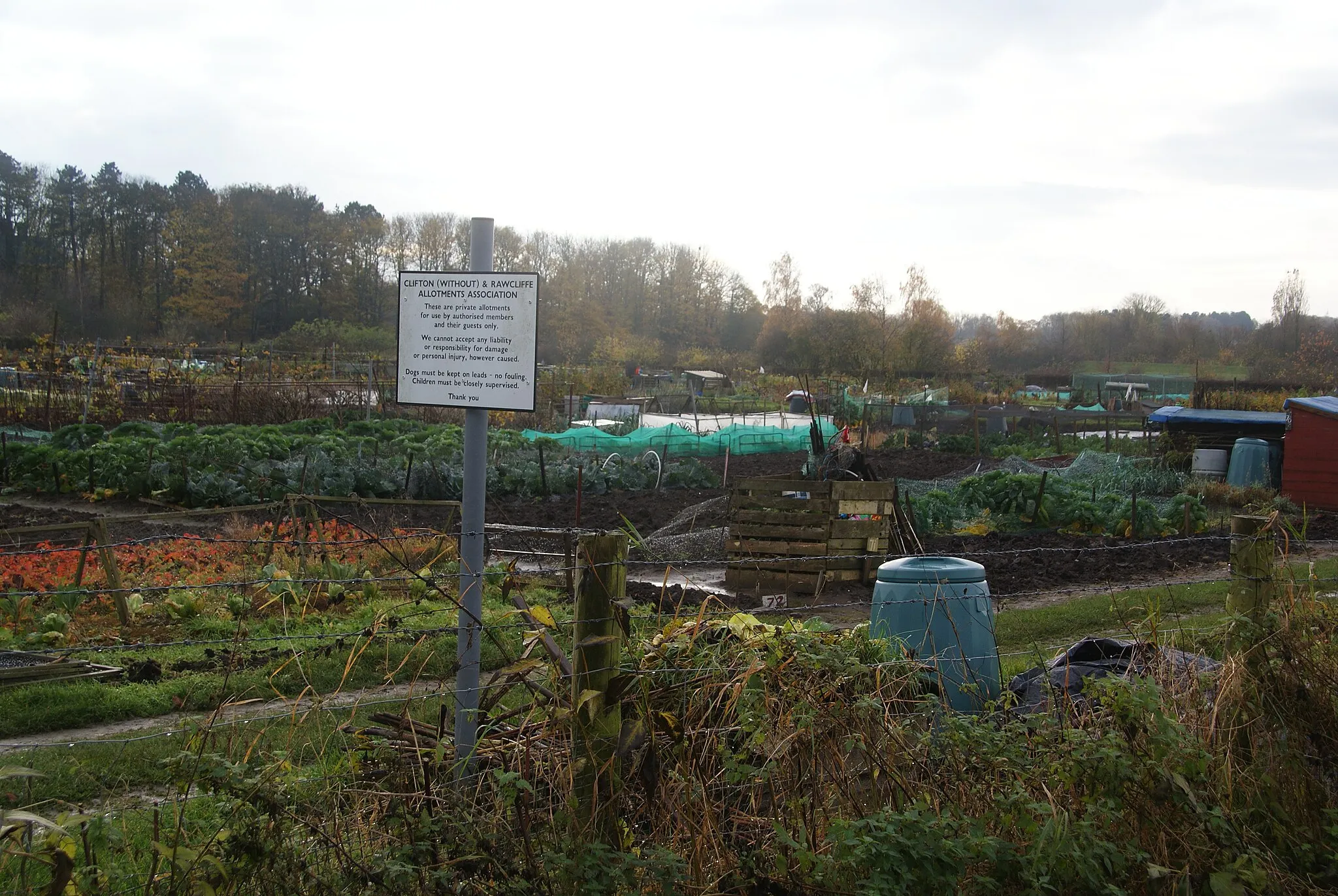 Photo showing: Clifton (Without) and Rawcliffe Allotments