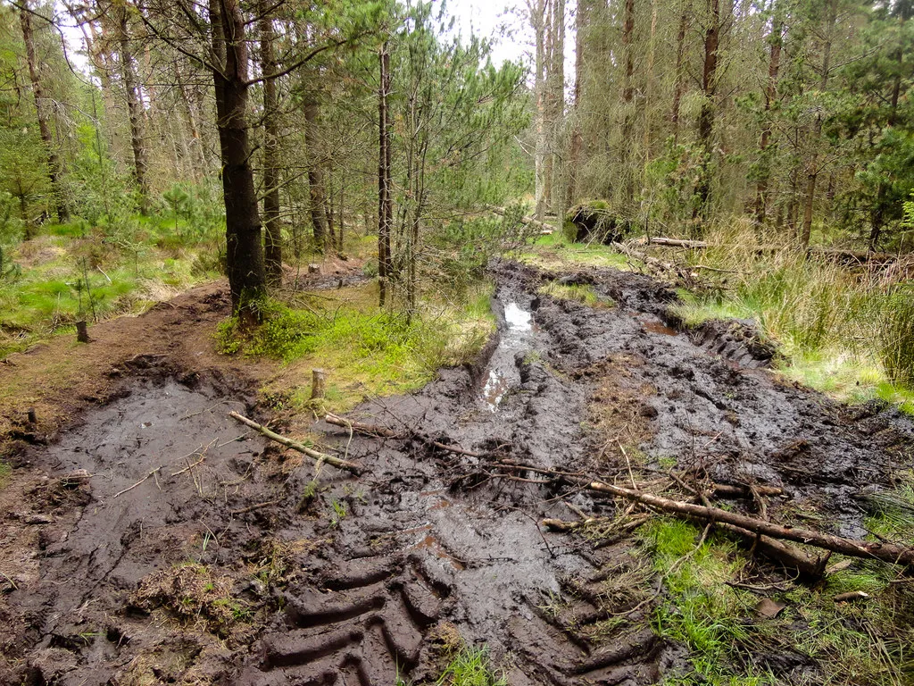 Photo showing: 4x4 Ruined Footpath, Pye Rigg