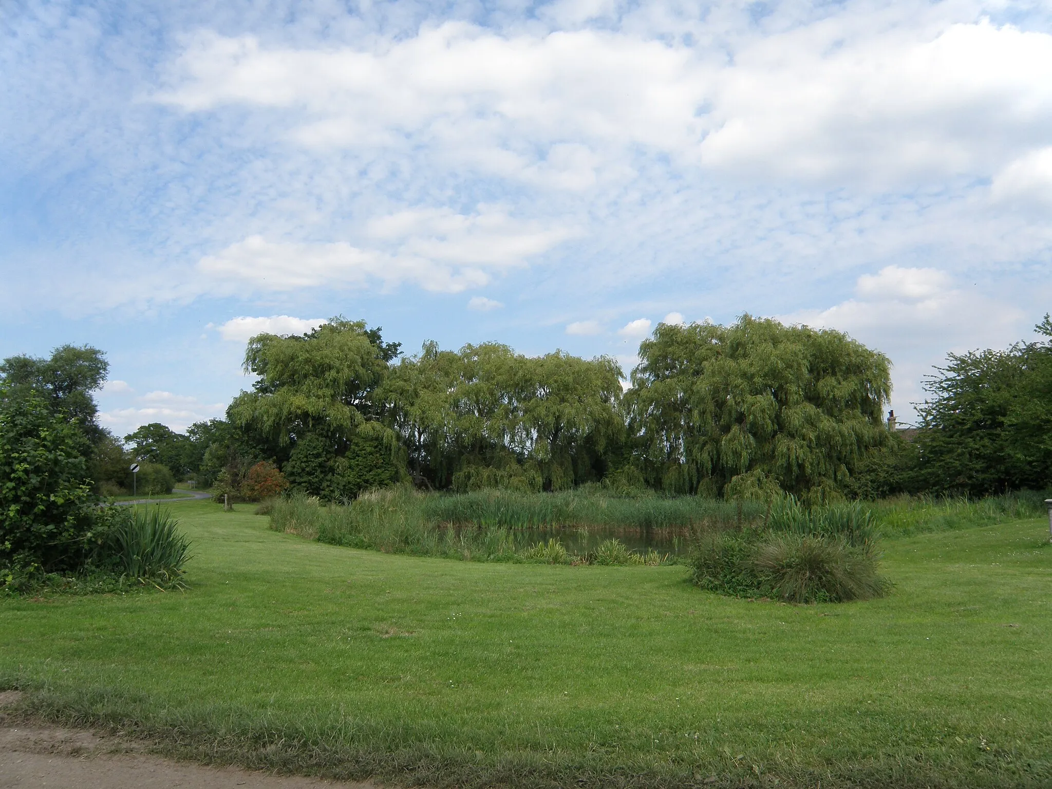 Photo showing: Village  Pond  Ellerton