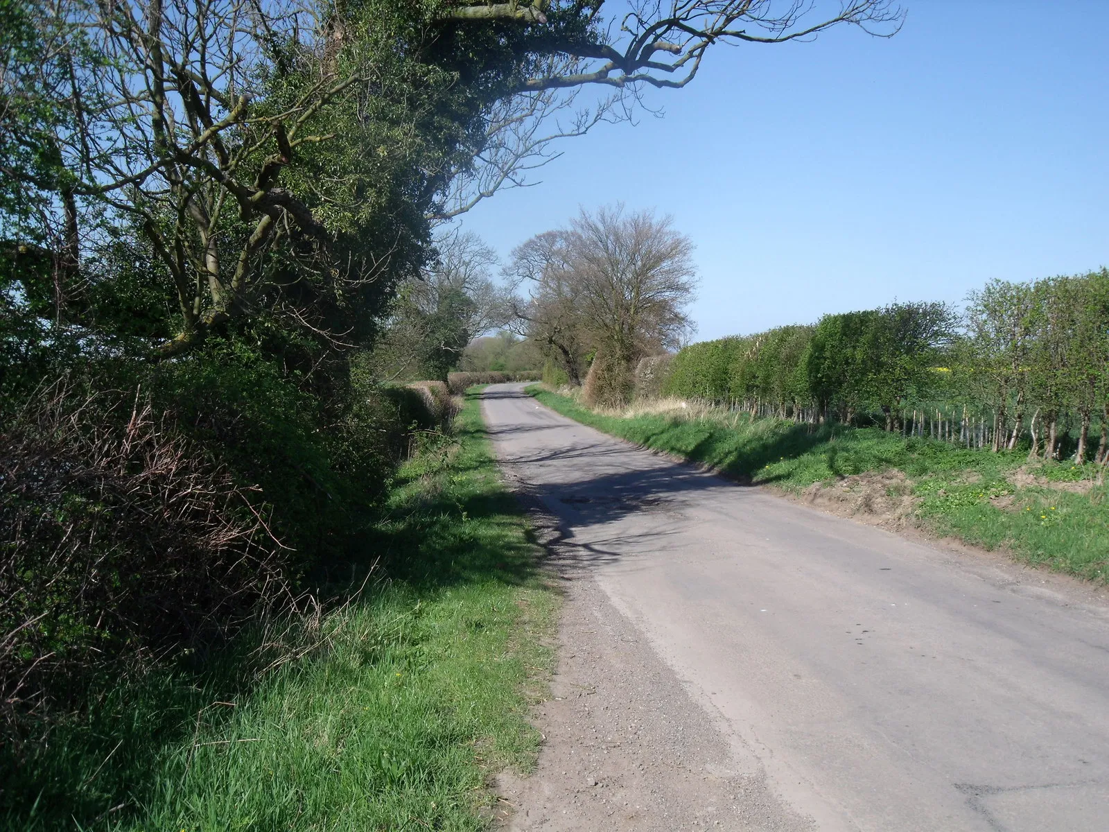 Photo showing: Breighton Road heading north, from Wressle, East Riding of Yorkshire, England.