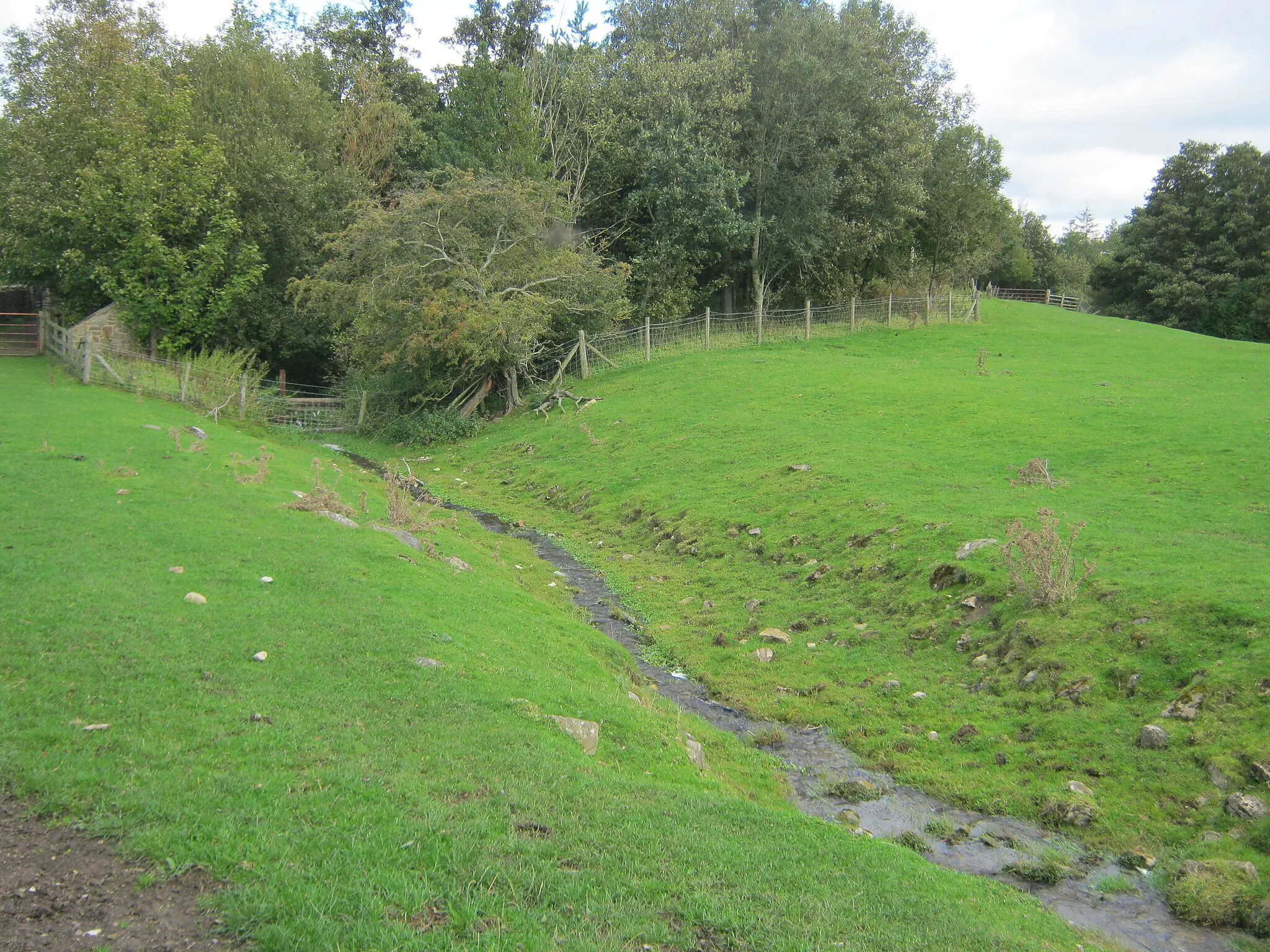 Photo showing: Green's Beck in Coverham