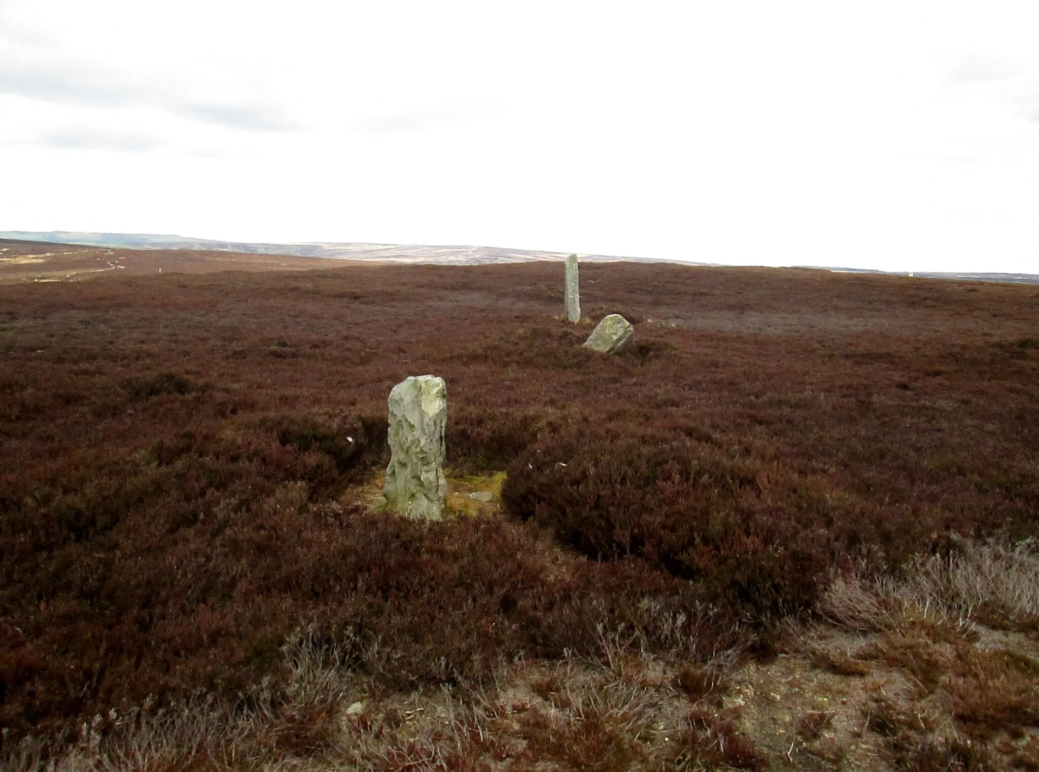 Photo showing: Standing  stones  at  Simon  Howe