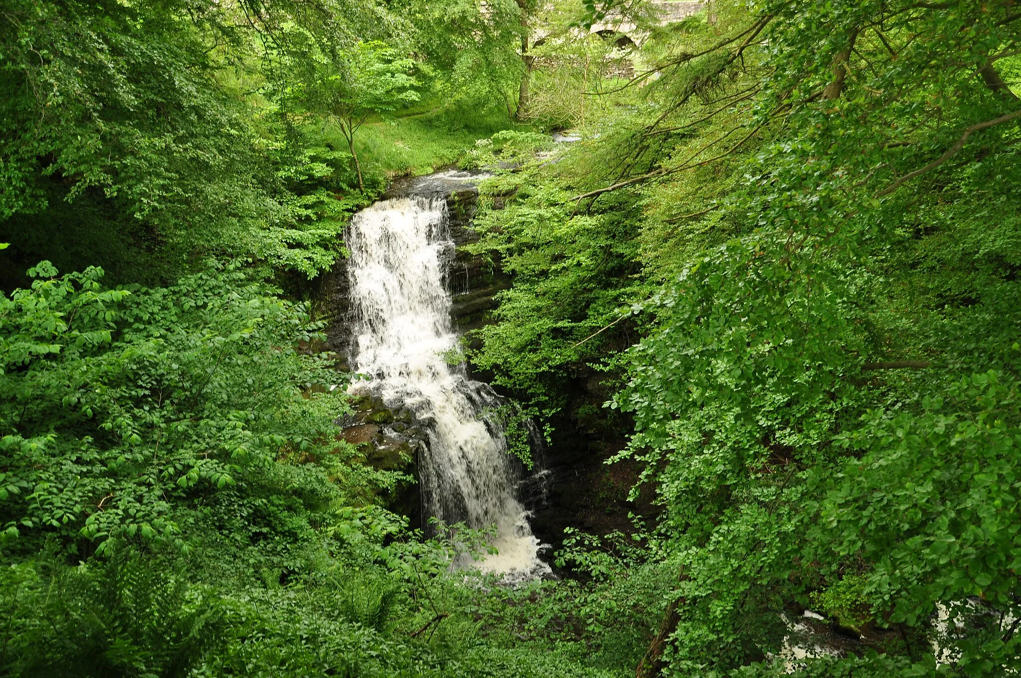 Photo showing: Scaleber Force