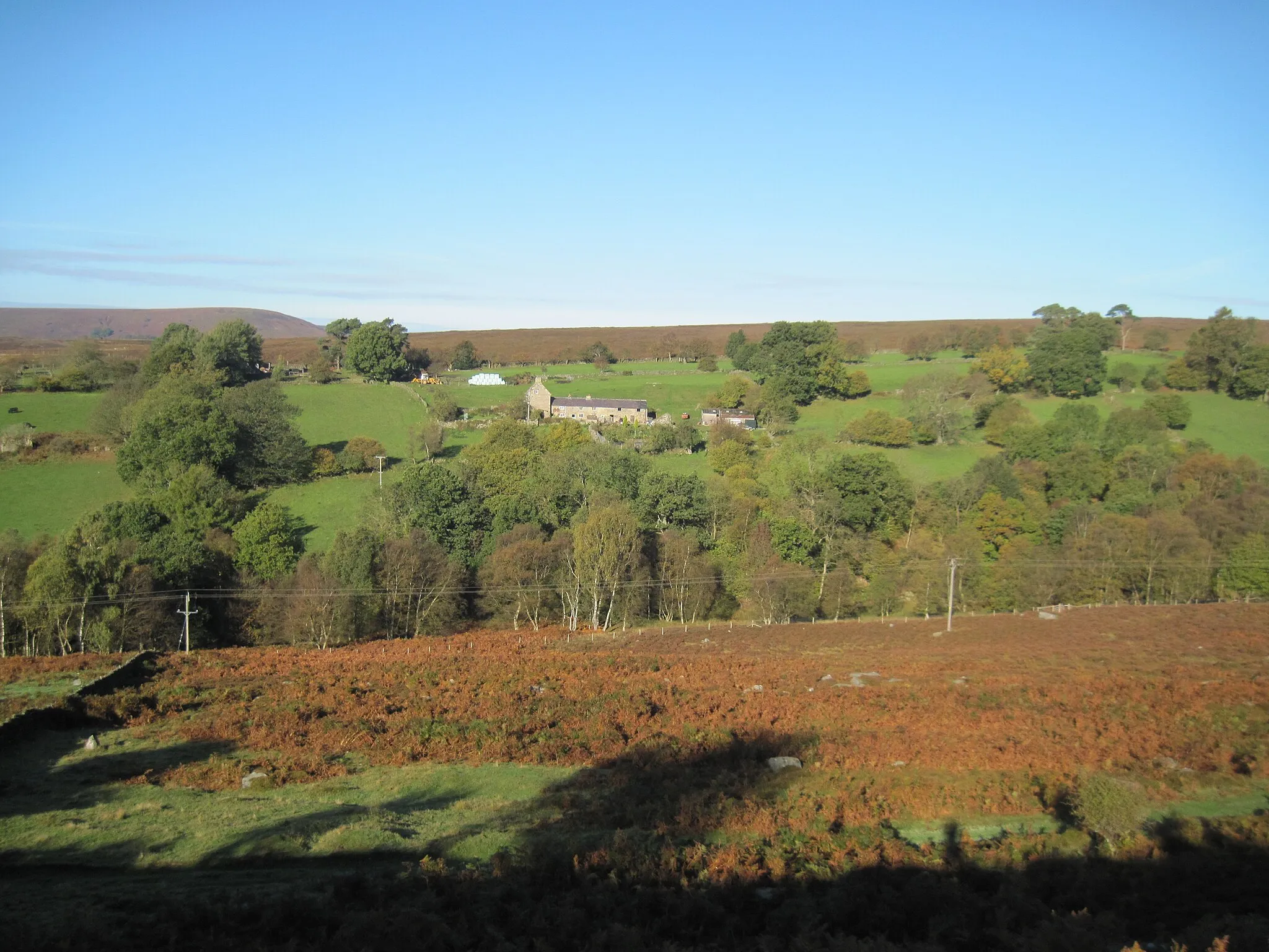 Photo showing: A  Green  Valley  on  the  High  Moor