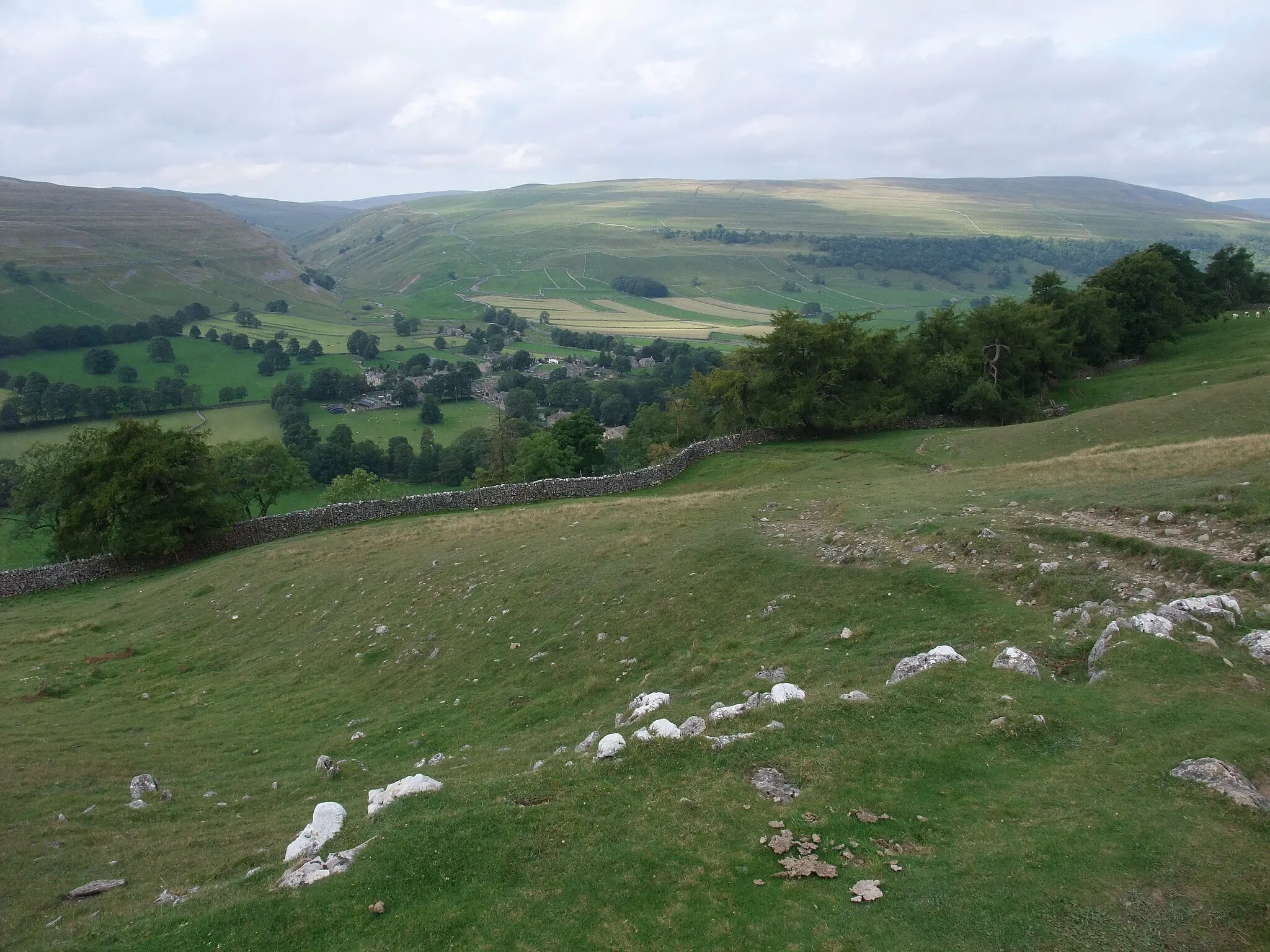 Photo showing: Above Byre Bank Wood