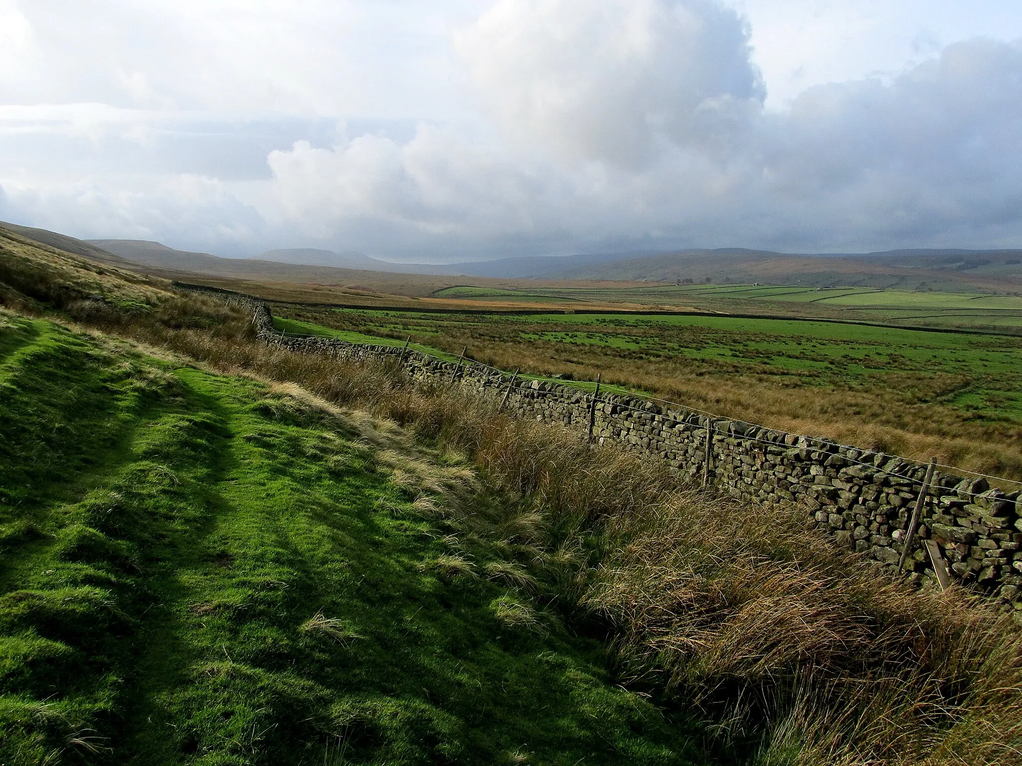 Photo showing: A View up Coverdale