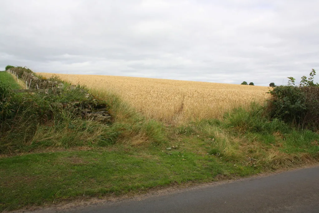 Photo showing: Gateway to field from minor road east of Hutton Hang