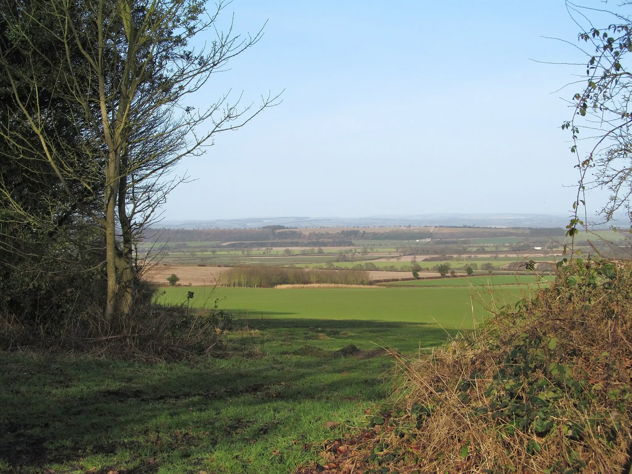 Photo showing: Farmland from the woodland edge