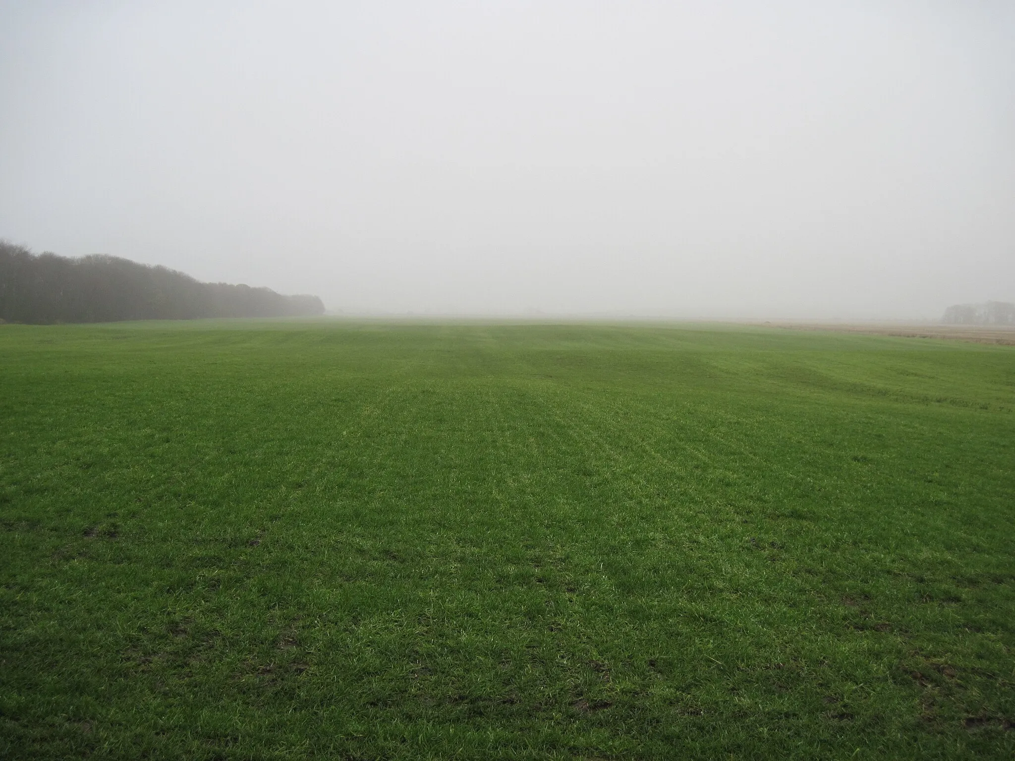 Photo showing: A  Misty  Flixton  Carr