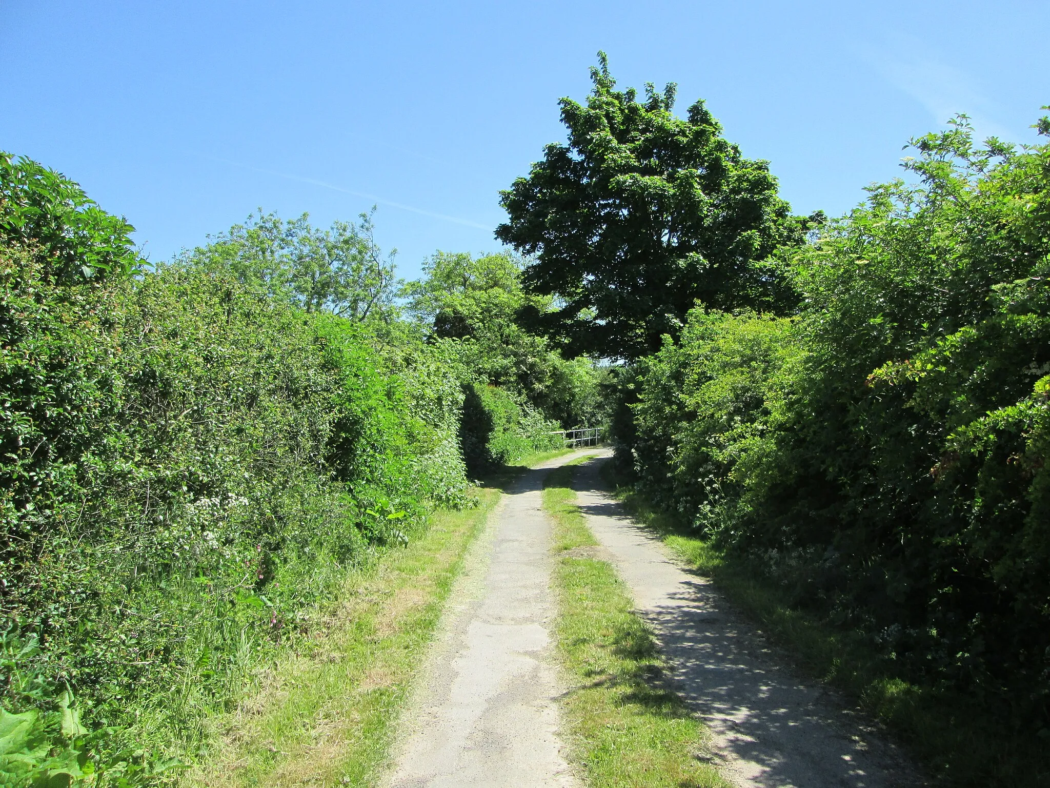 Photo showing: Access  road  from  Westow  Low  Grange