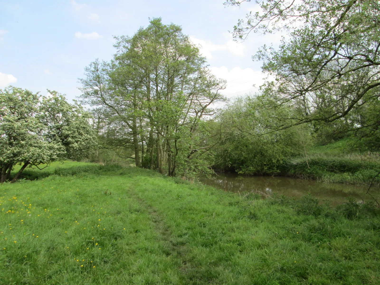 Photo showing: Beside the River Derwent