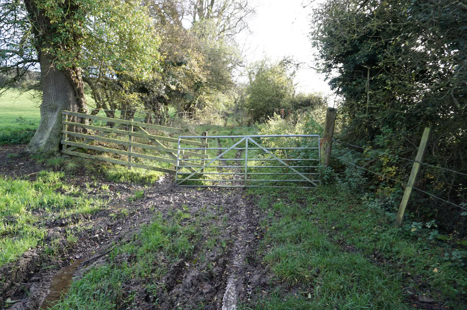 Photo showing: Byway to Leavening Brow