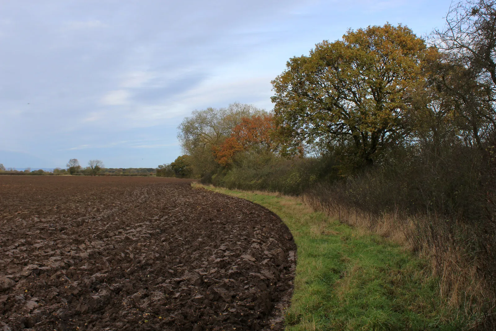Photo showing: Beside a Ploughed Field near Kirk Hammerton Moor