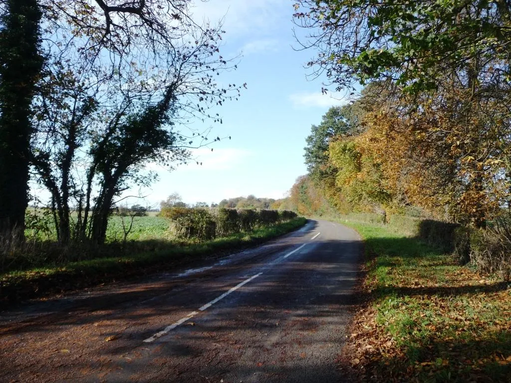 Photo showing: Autumn colour on the road to Foston