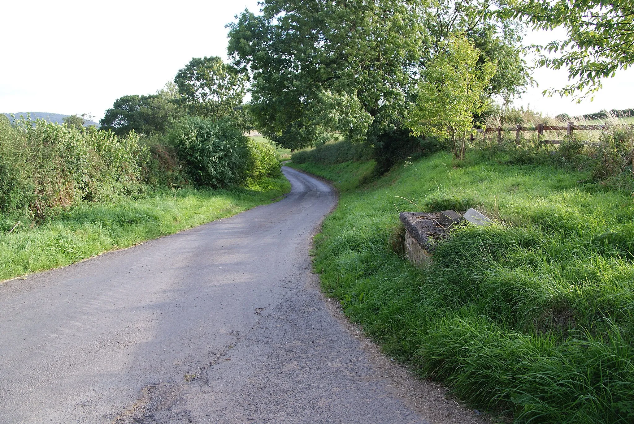 Photo showing: Berghill Lane near Longlands Farm