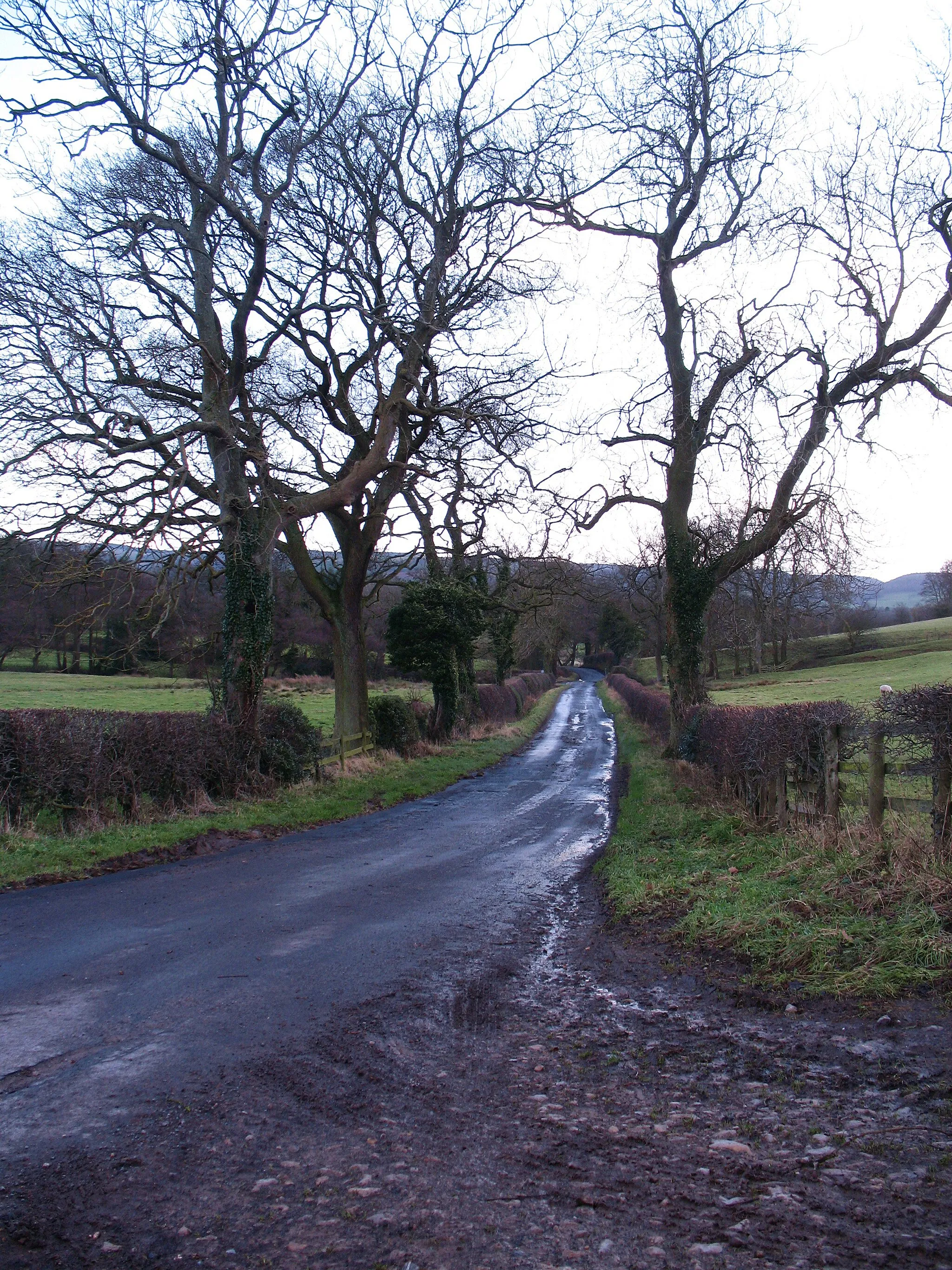 Photo showing: Berghill Lane