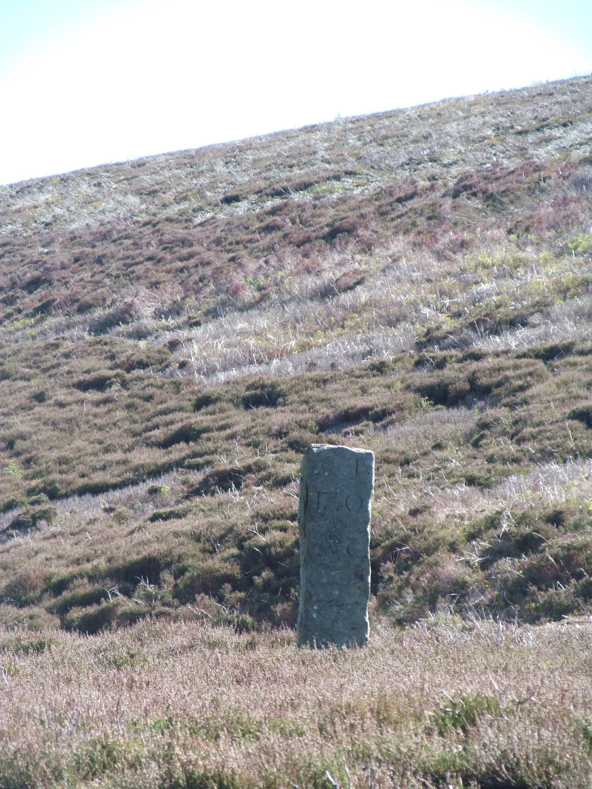 Photo showing: Boundary stone at Black Hill