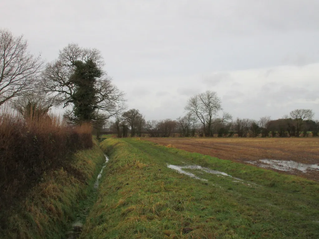 Photo showing: Footpath to Naburn