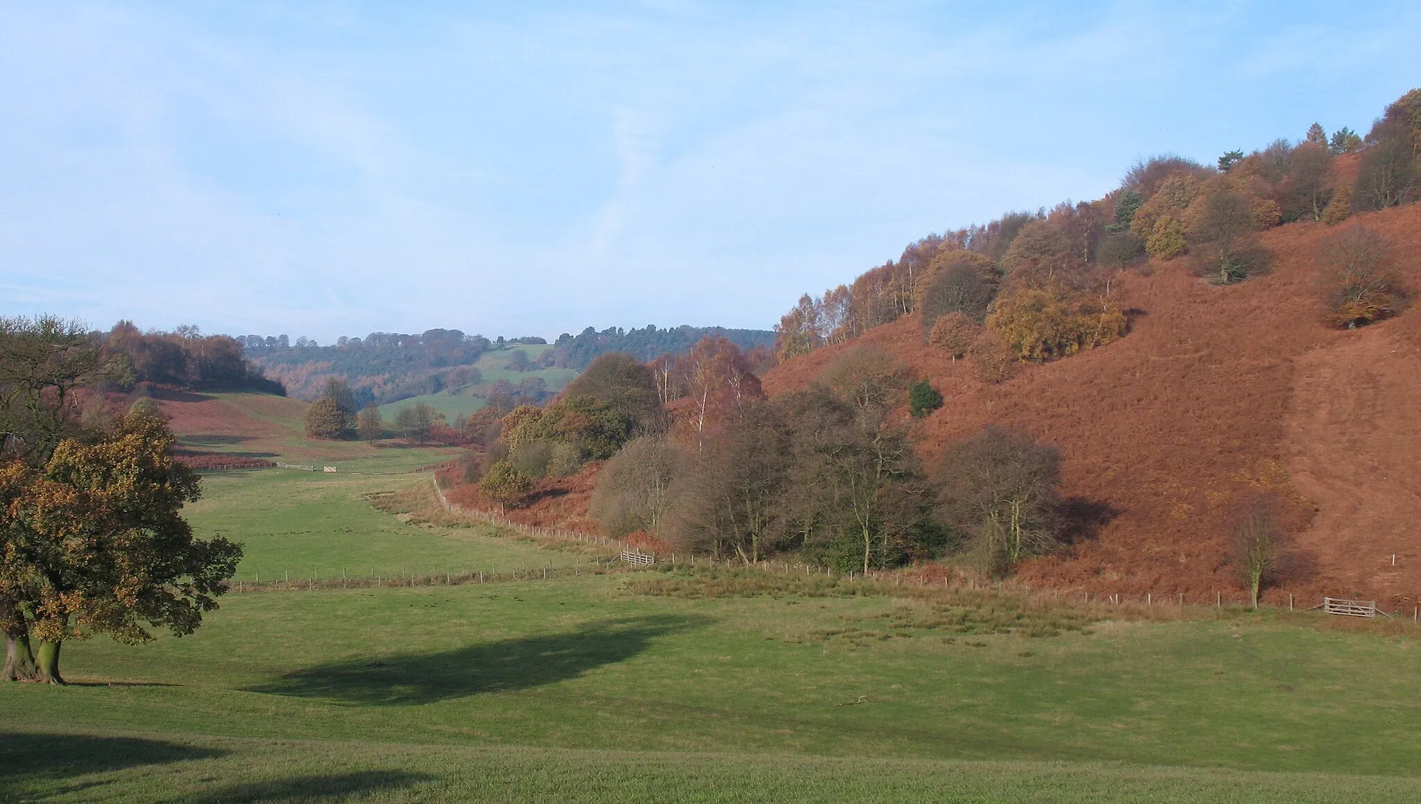 Photo showing: Birk Bank, Kirby Knowle