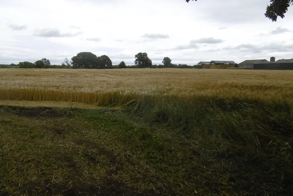 Photo showing: Arable land, Lodge Farm