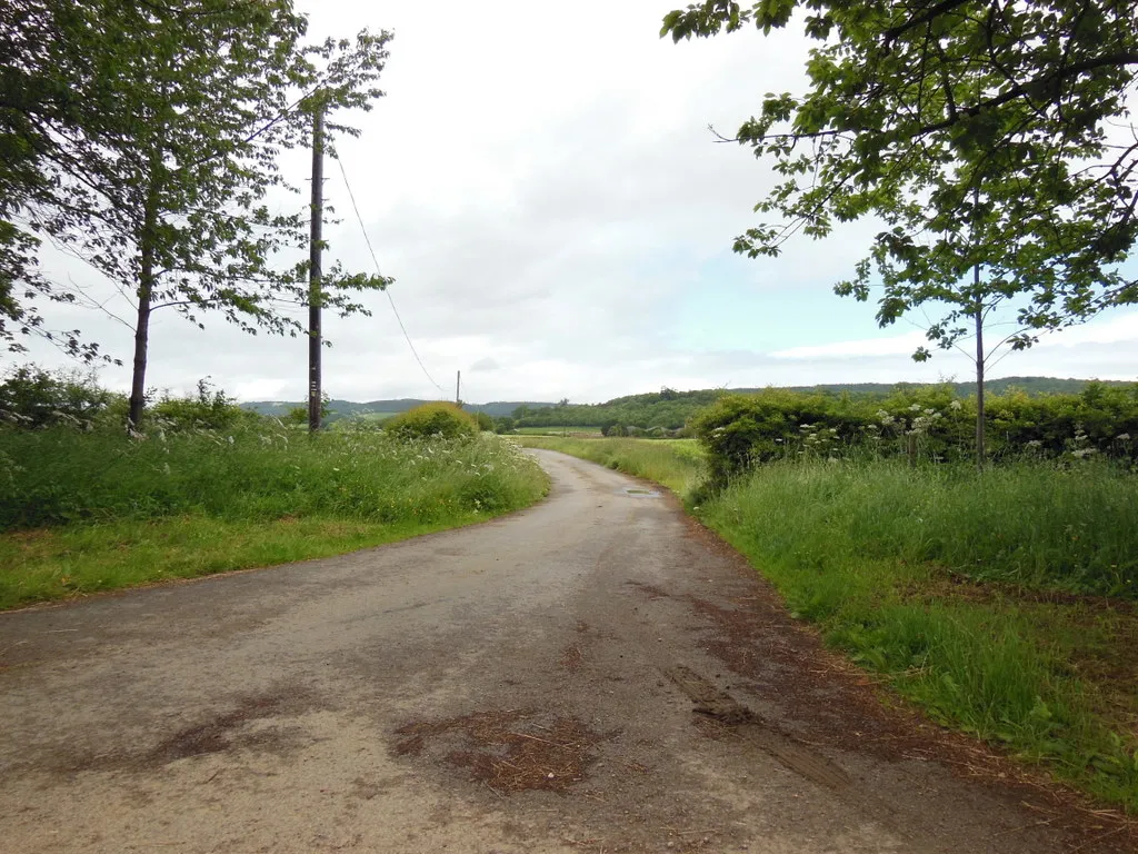 Photo showing: A track leading to Brink Hill Farm