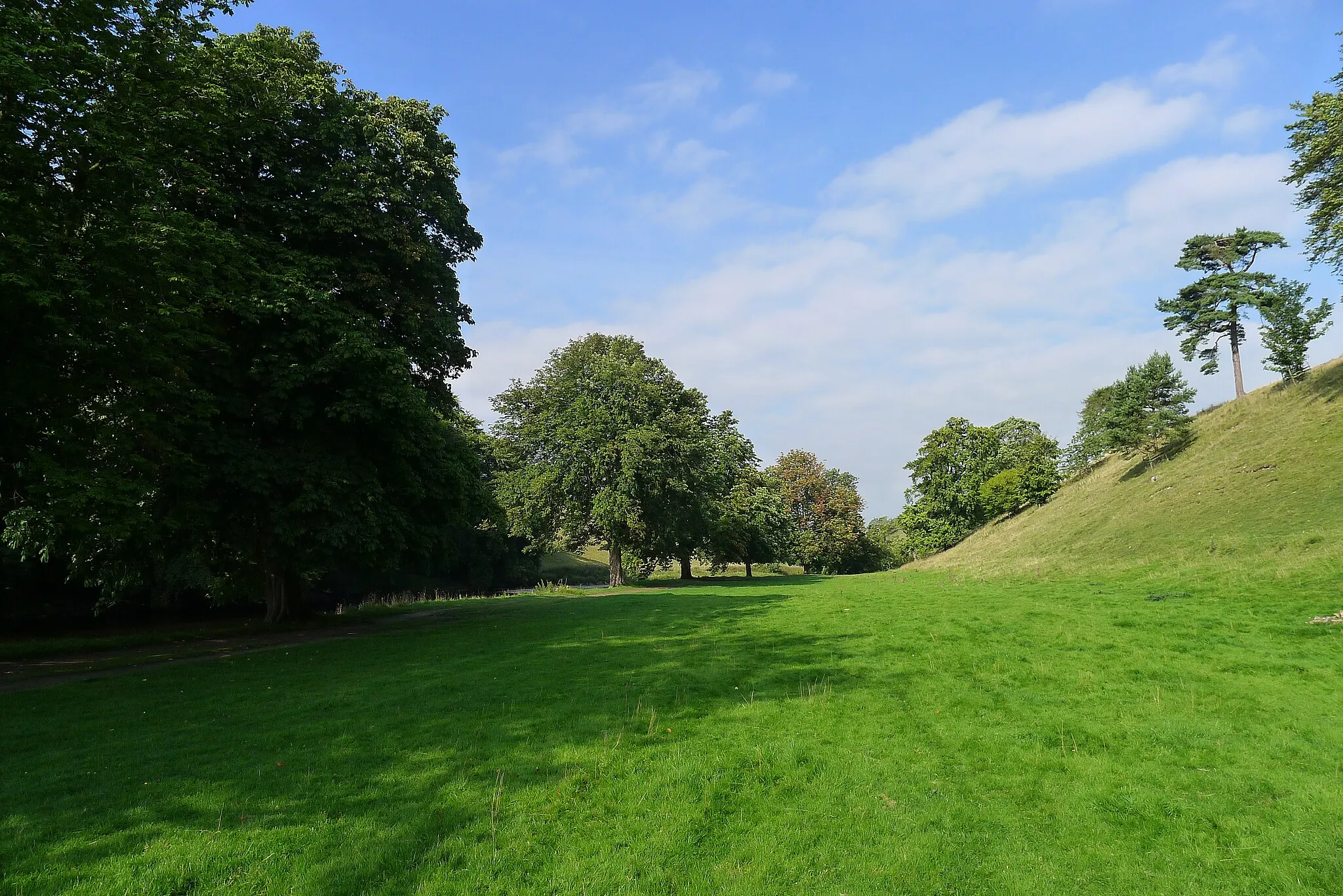 Photo showing: A line of horse chestnut trees alongside the Dales Way