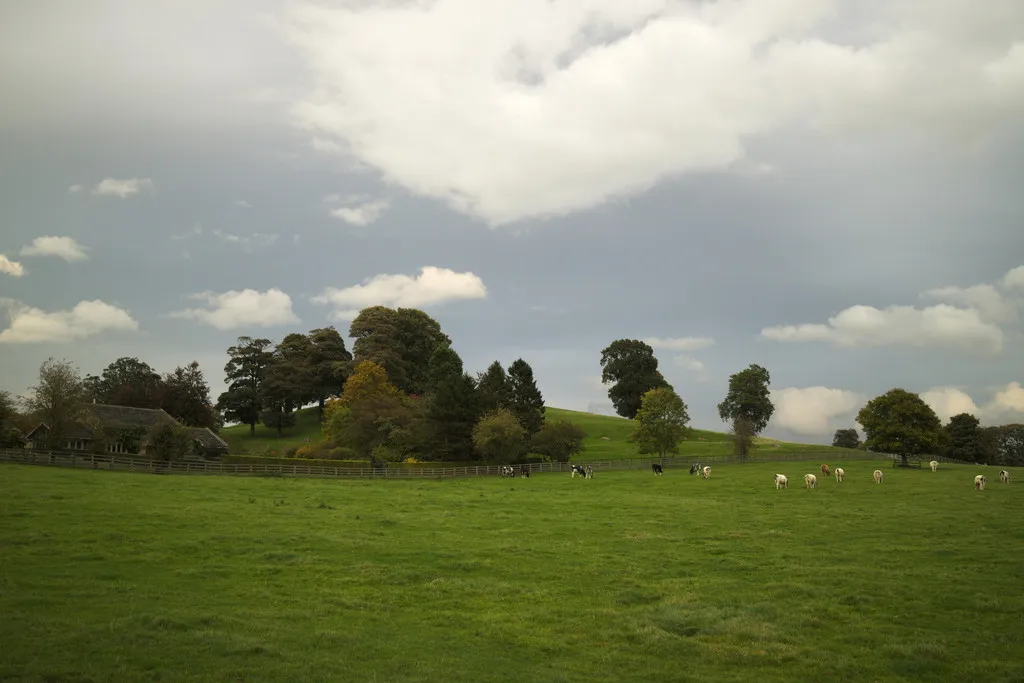 Photo showing: Looking Towards Barks Hill From Low End