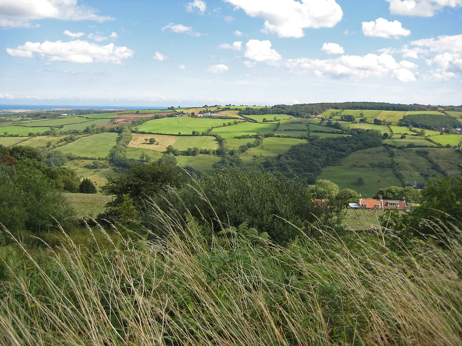 Photo showing: View to Ugglebarnby and the sea beyond