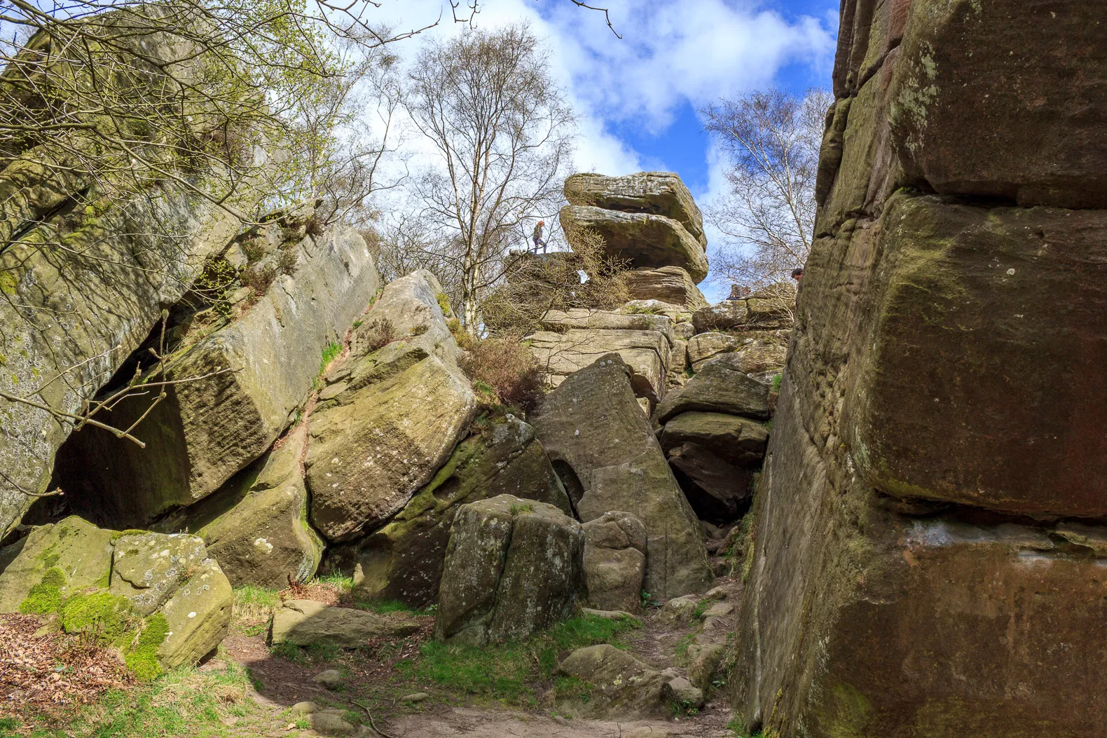 Photo showing: Brimham Rocks