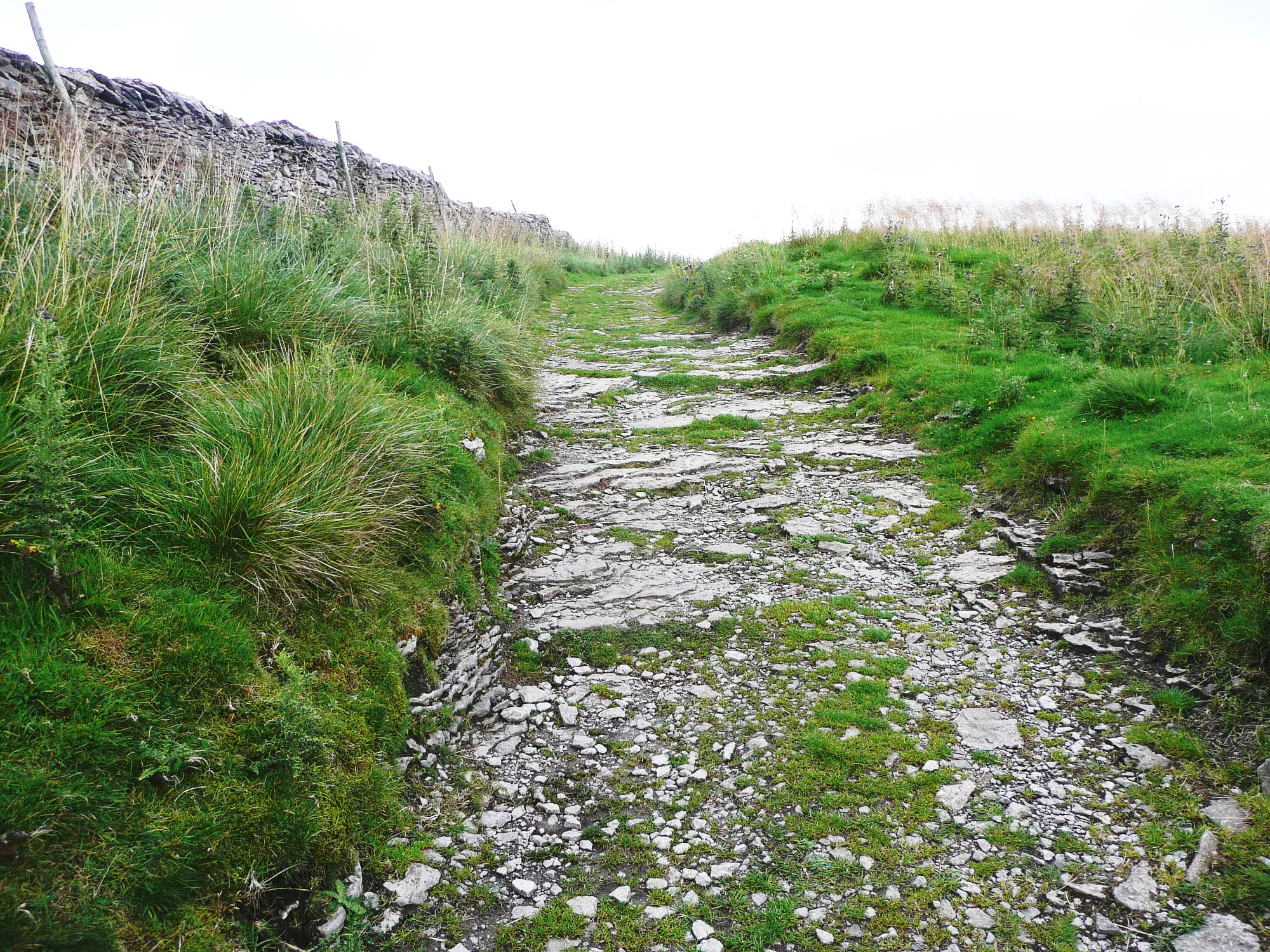 Photo showing: A short steep climb on the Pennine Bridleway