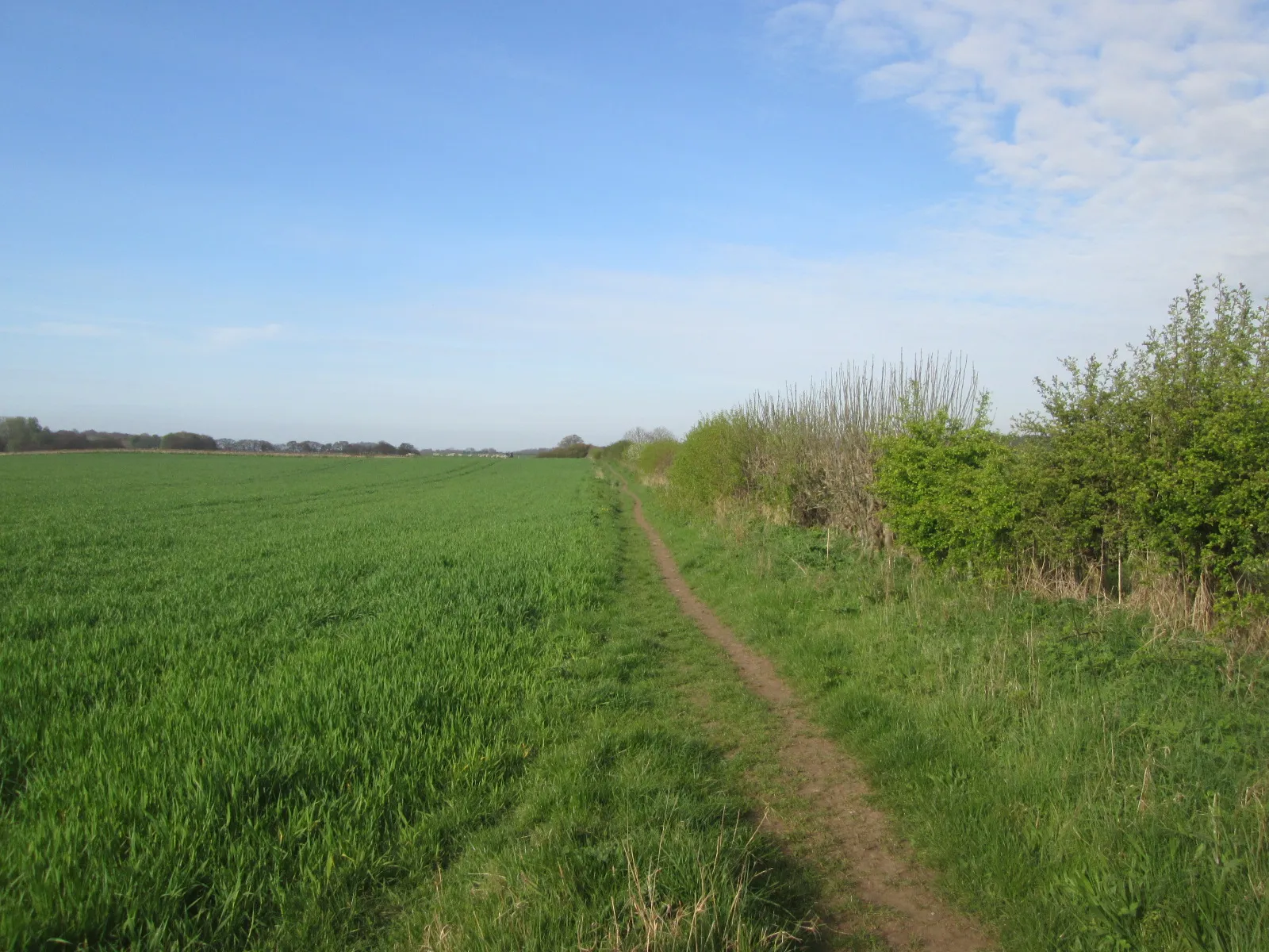 Photo showing: Bridleway towards Wykeham Lane