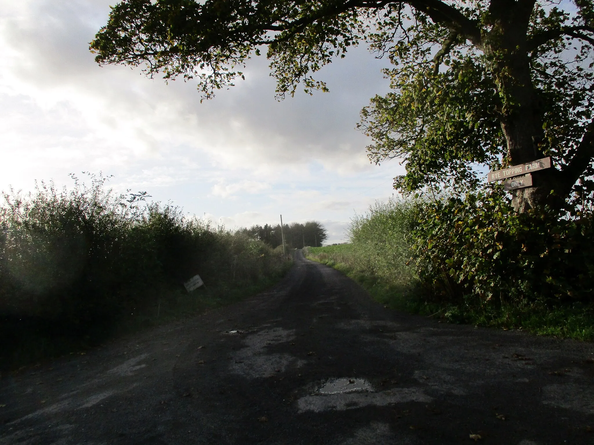 Photo showing: Access  track  to  Rye  Topping  Farm