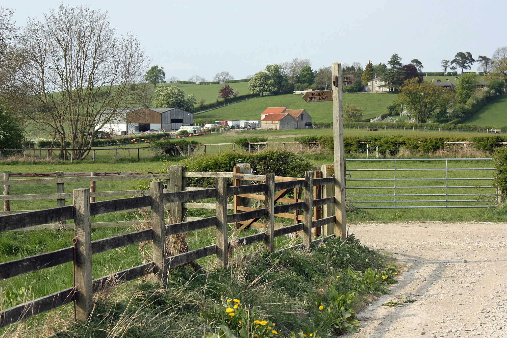 Photo showing: Bridleway junction