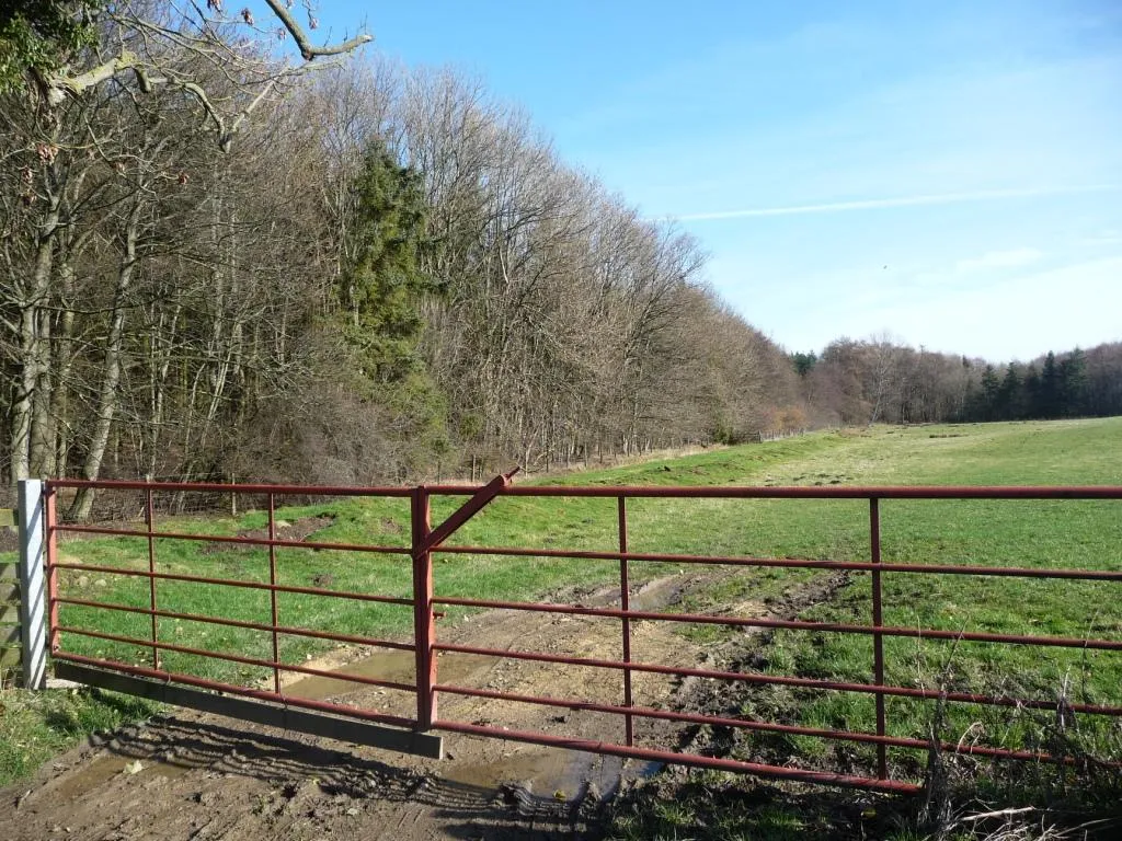 Photo showing: Double red field gate