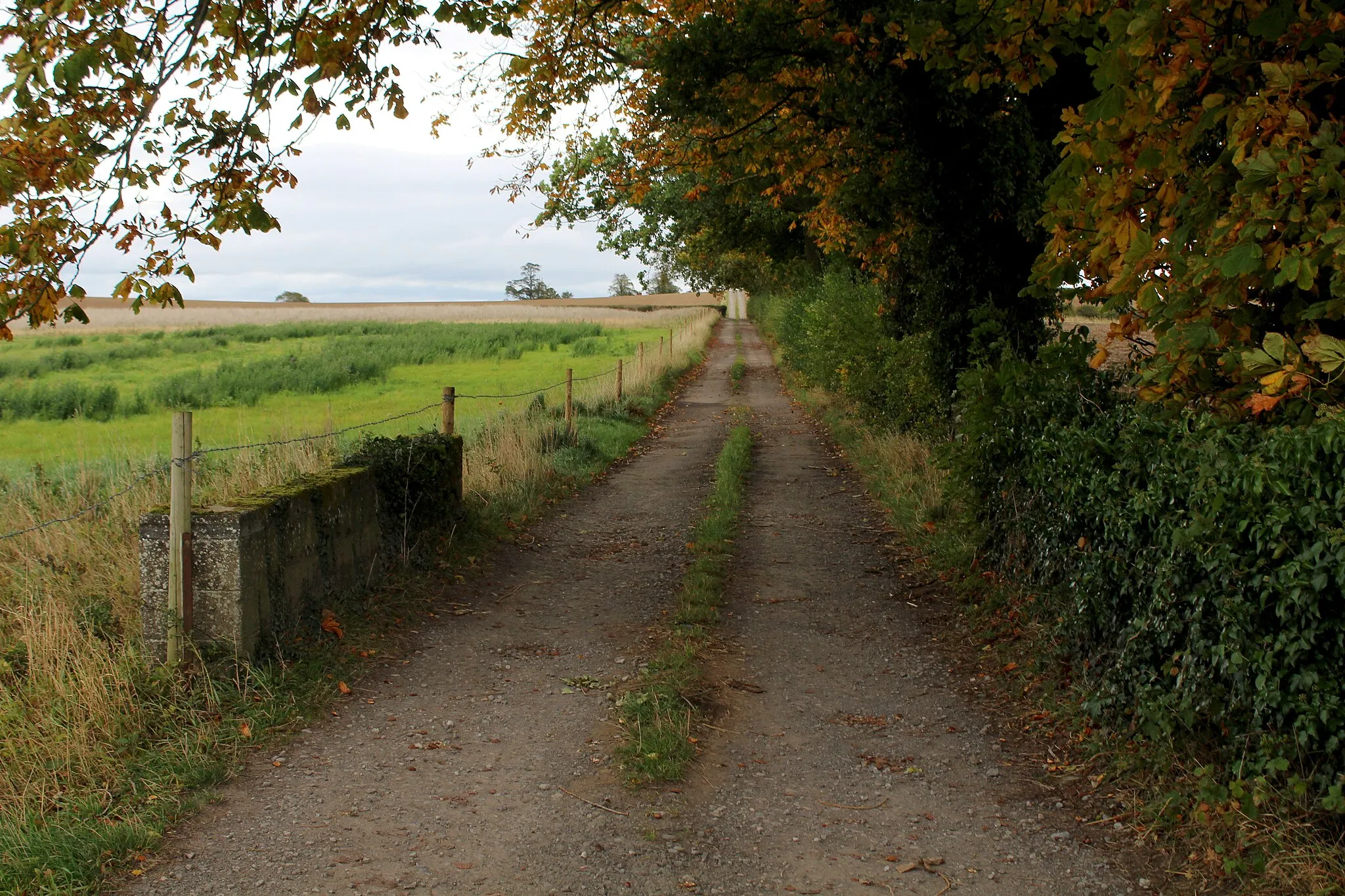 Photo showing: Access Lane on Thirn Moor