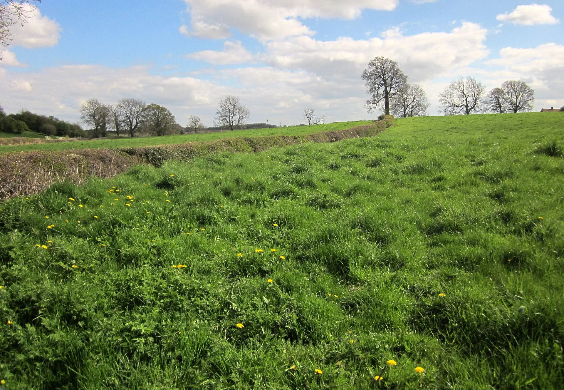 Photo showing: Fields near Markington