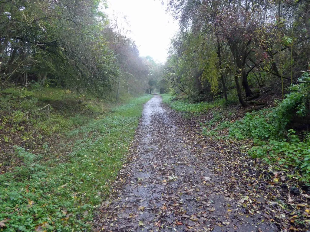 Photo showing: A wet morning on NCN route 665