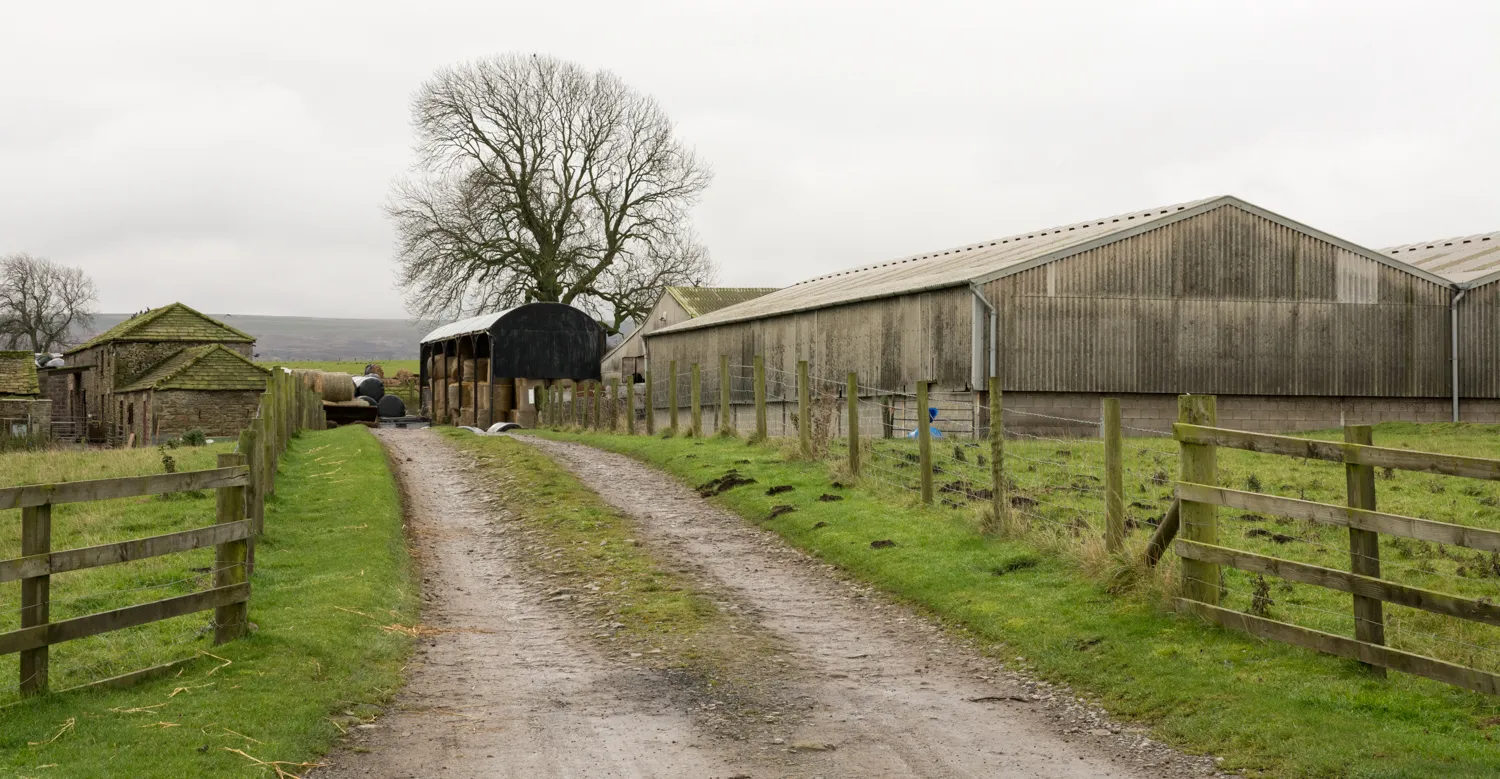 Photo showing: Farm buildings at Lily Hill