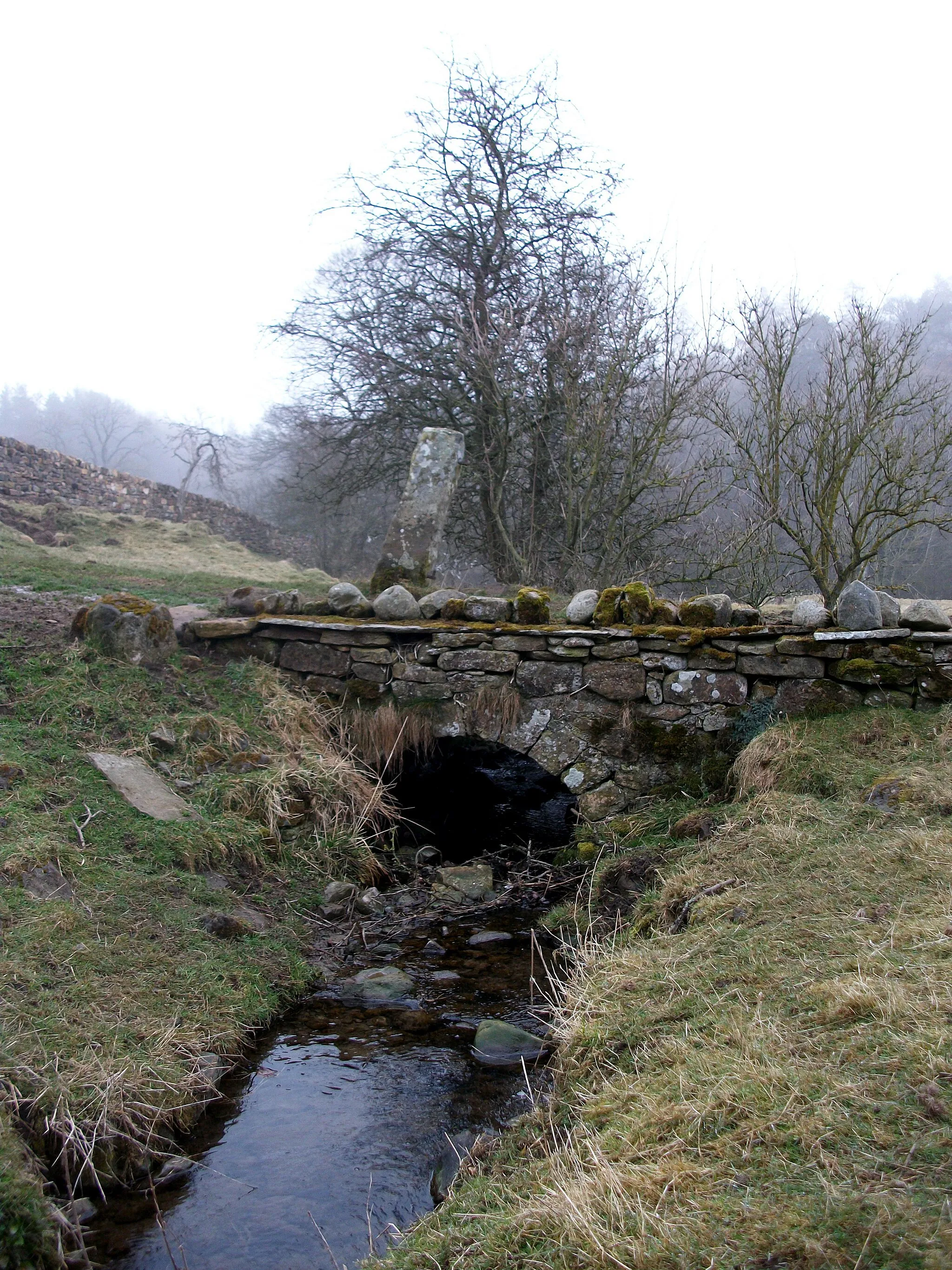 Photo showing: Stone Bridge over Brignall Beck