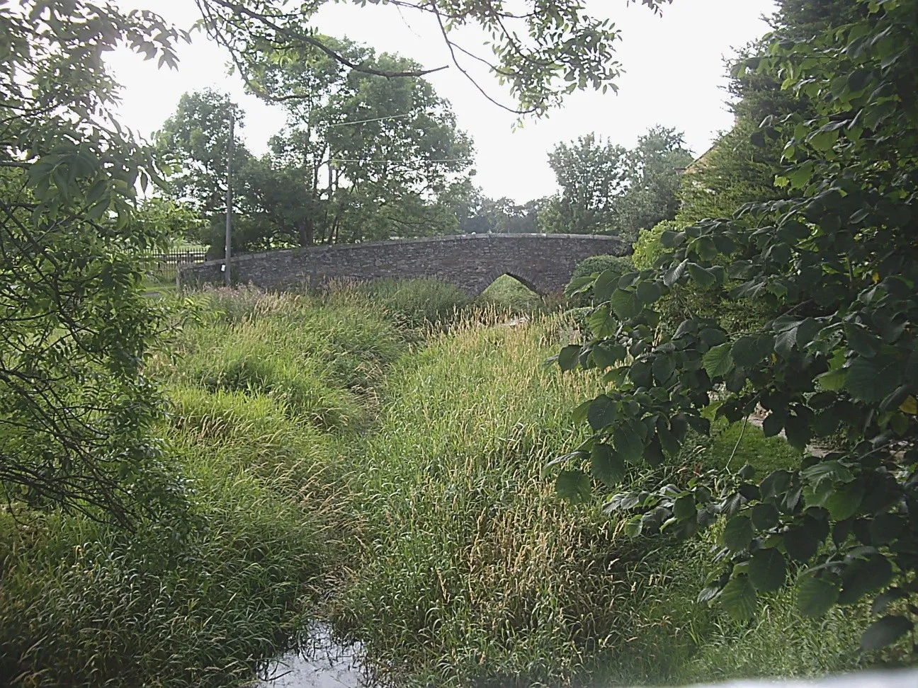 Photo showing: Upstream Aldbrough Beck